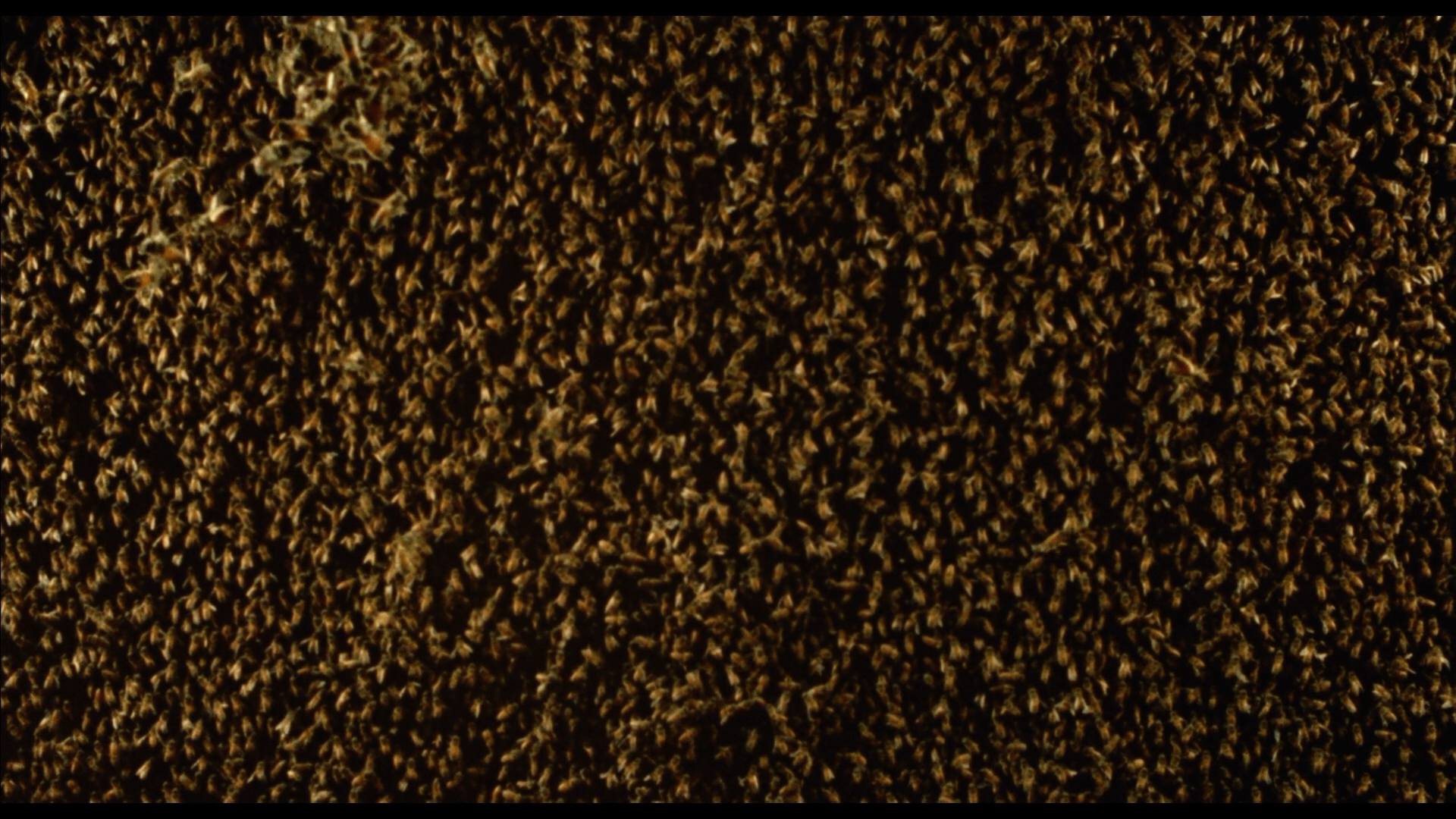 Candyman Blu-ray director's cut cap 3