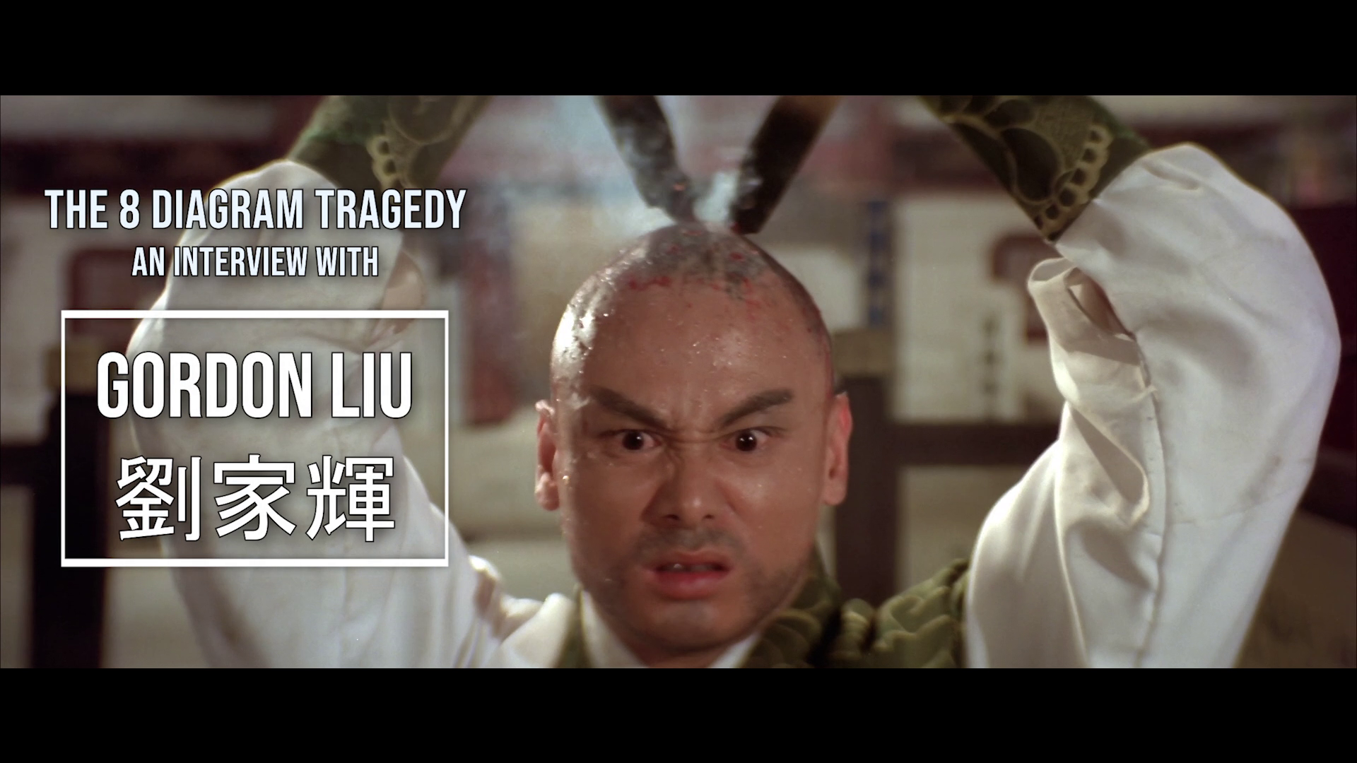 The 8 Diagram Pole Fighter Gordon Liu interview