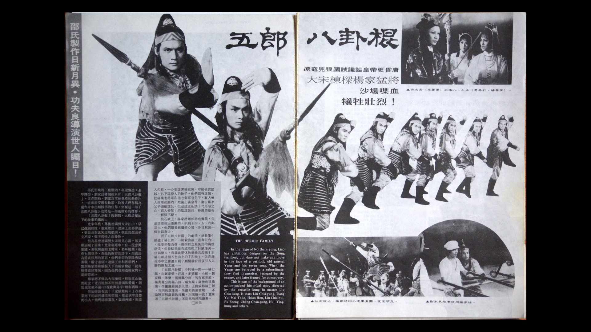 The 8 Diagram Pole Fighter image gallery