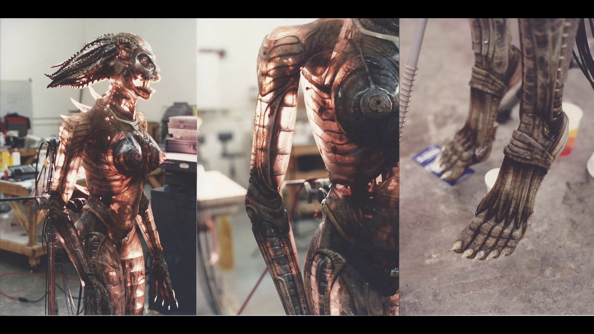 Species image galleries