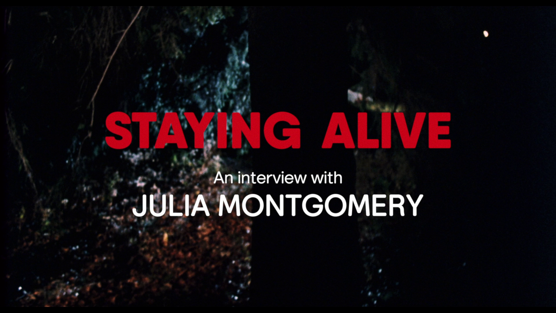 Girls Nite Out Julia Montgomery interview