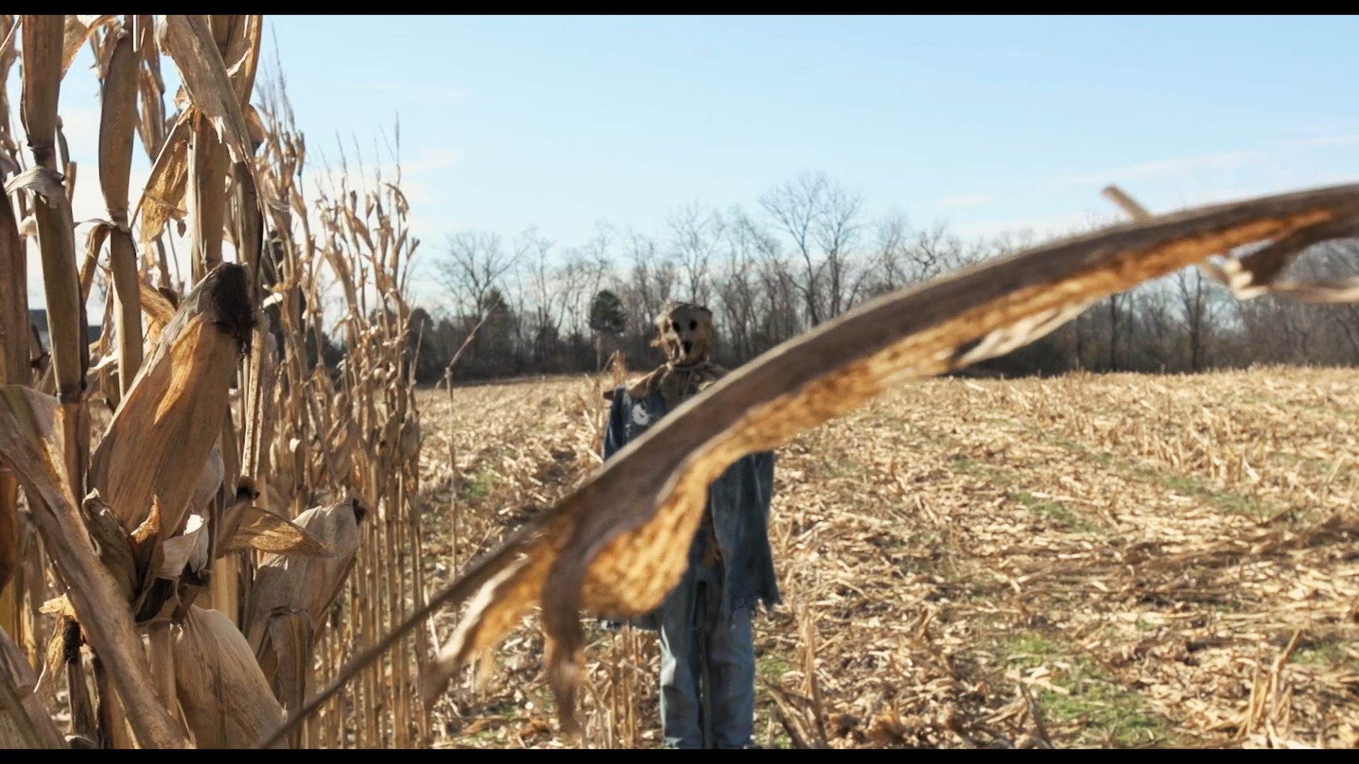 Dark Night of the Scarecrow 2 Blu-ray screencap 11