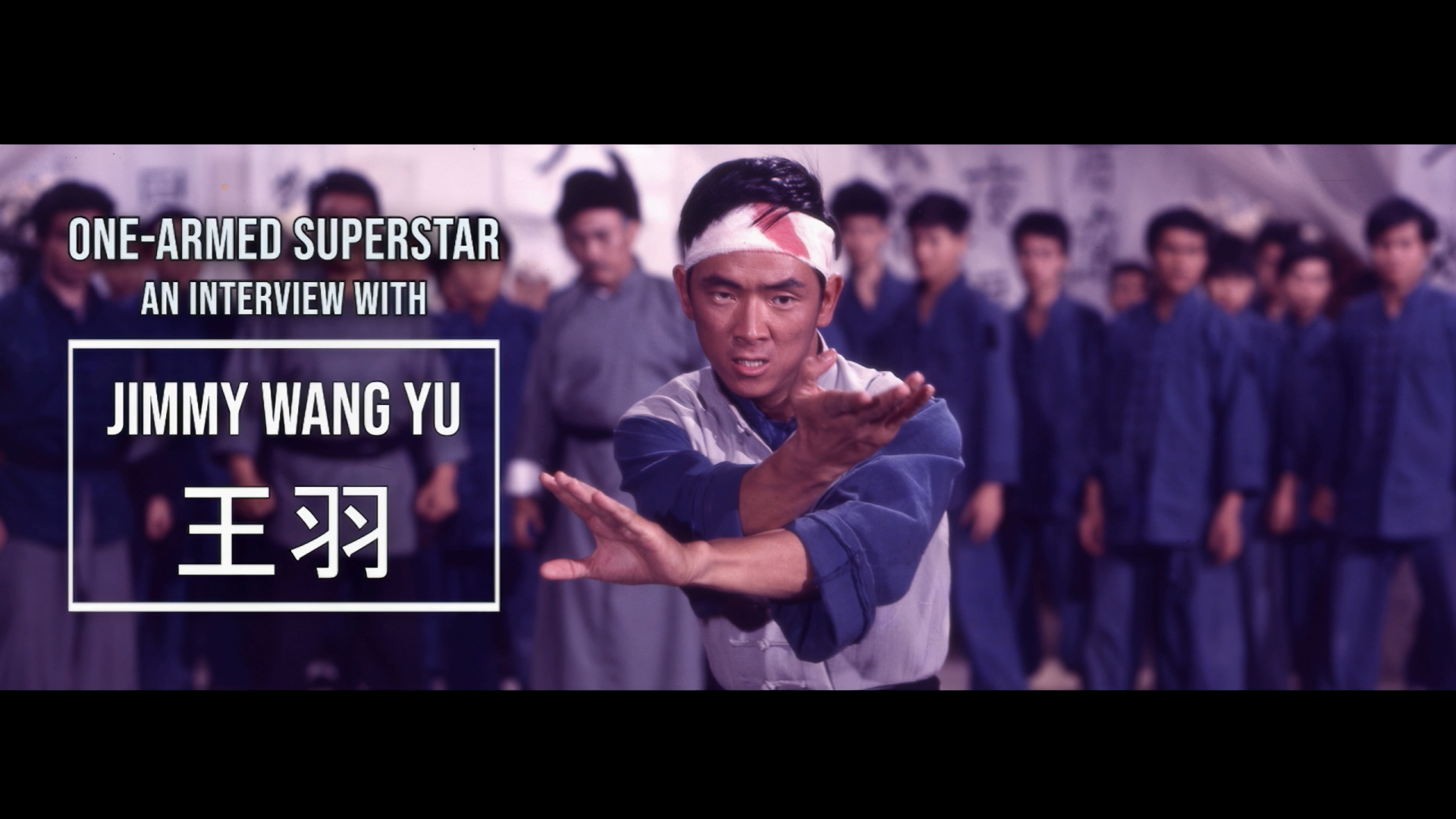 Career retrospective interview with Wang Yu