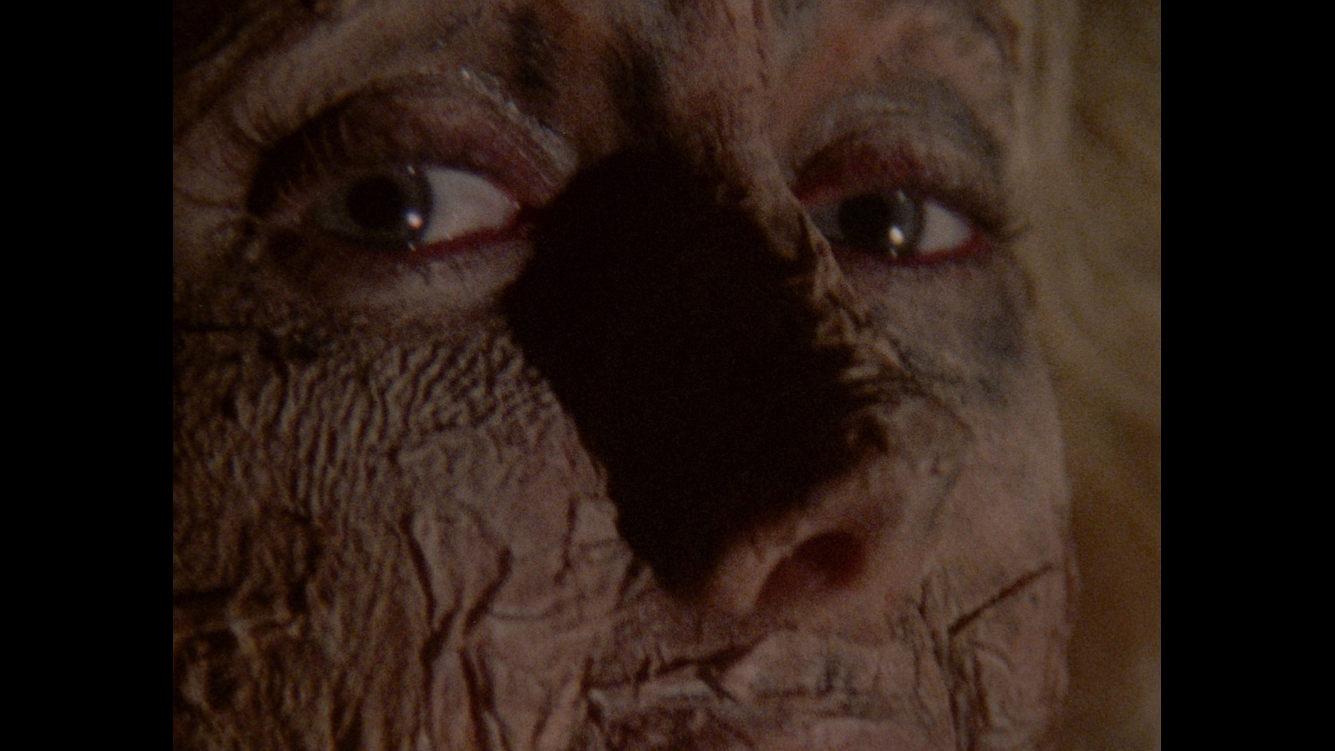 The Initiation of Sarah cap 11