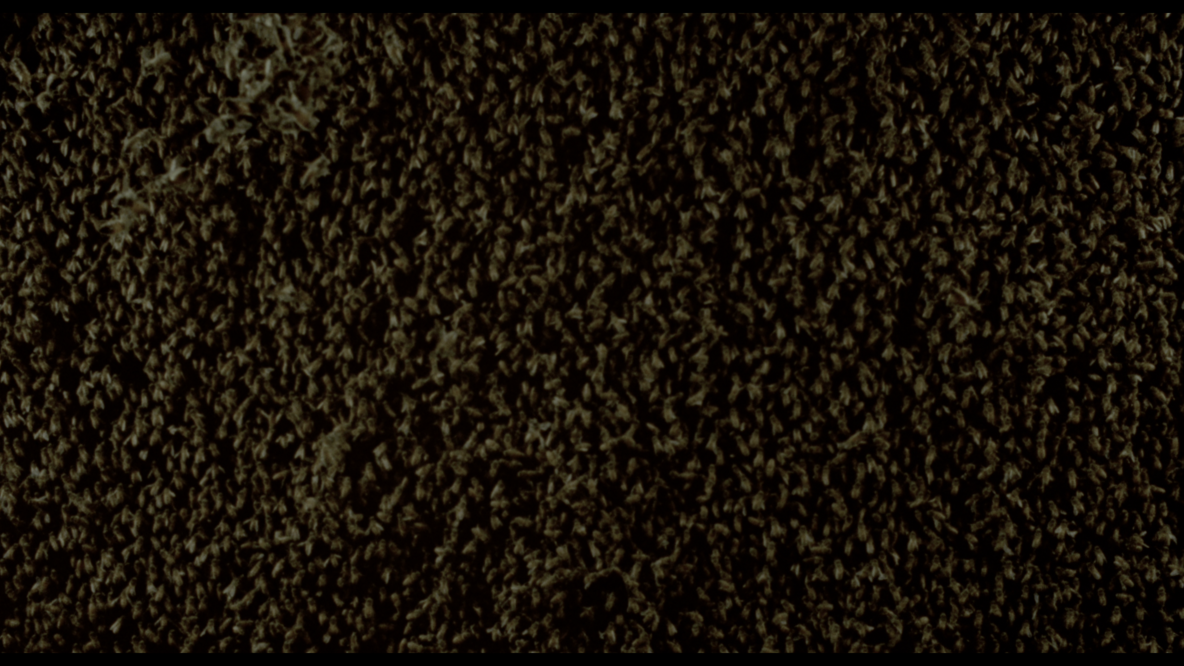 Candyman 4K unrated cut cap 3