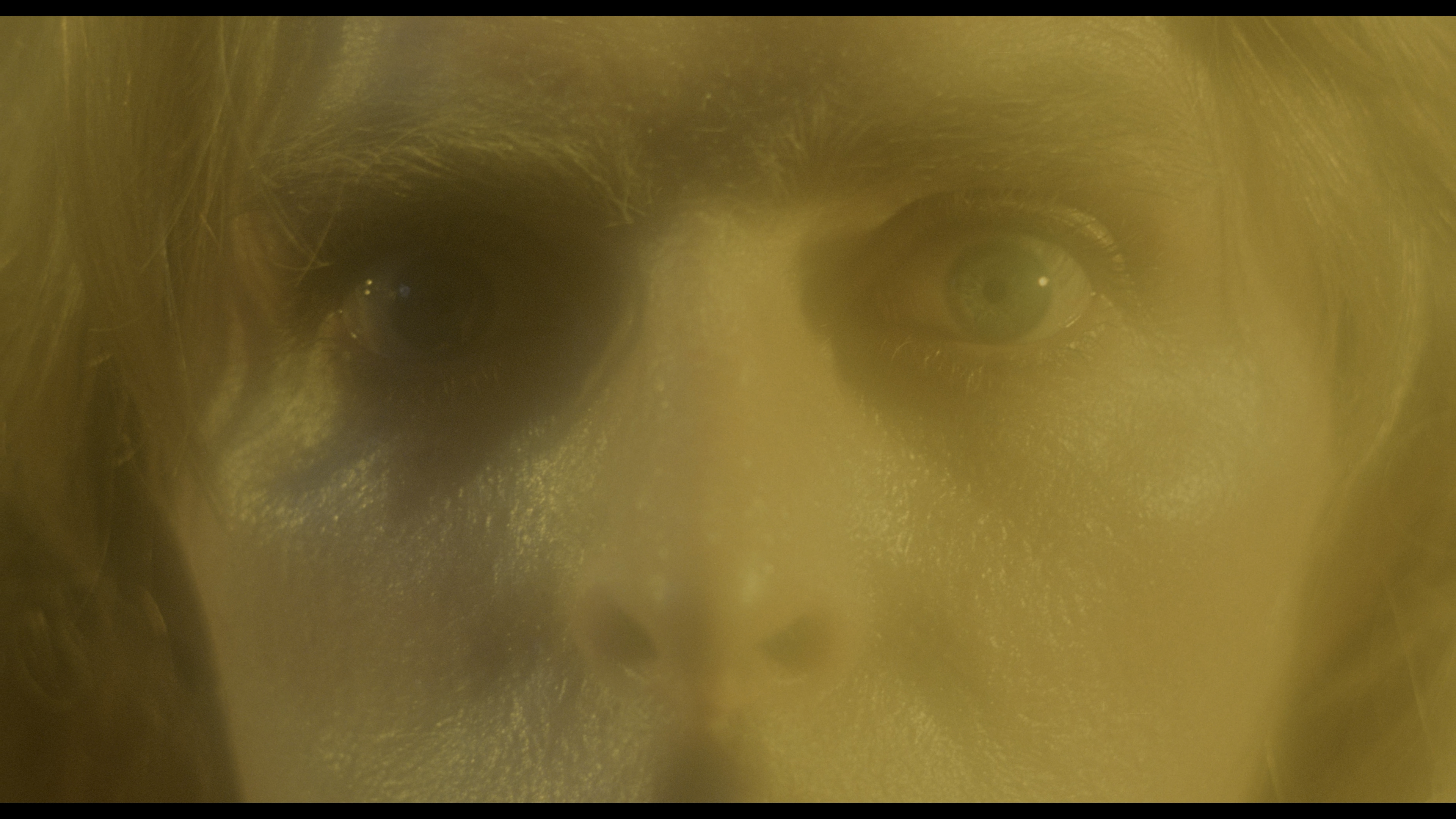 God Told Me To 4K cap 6