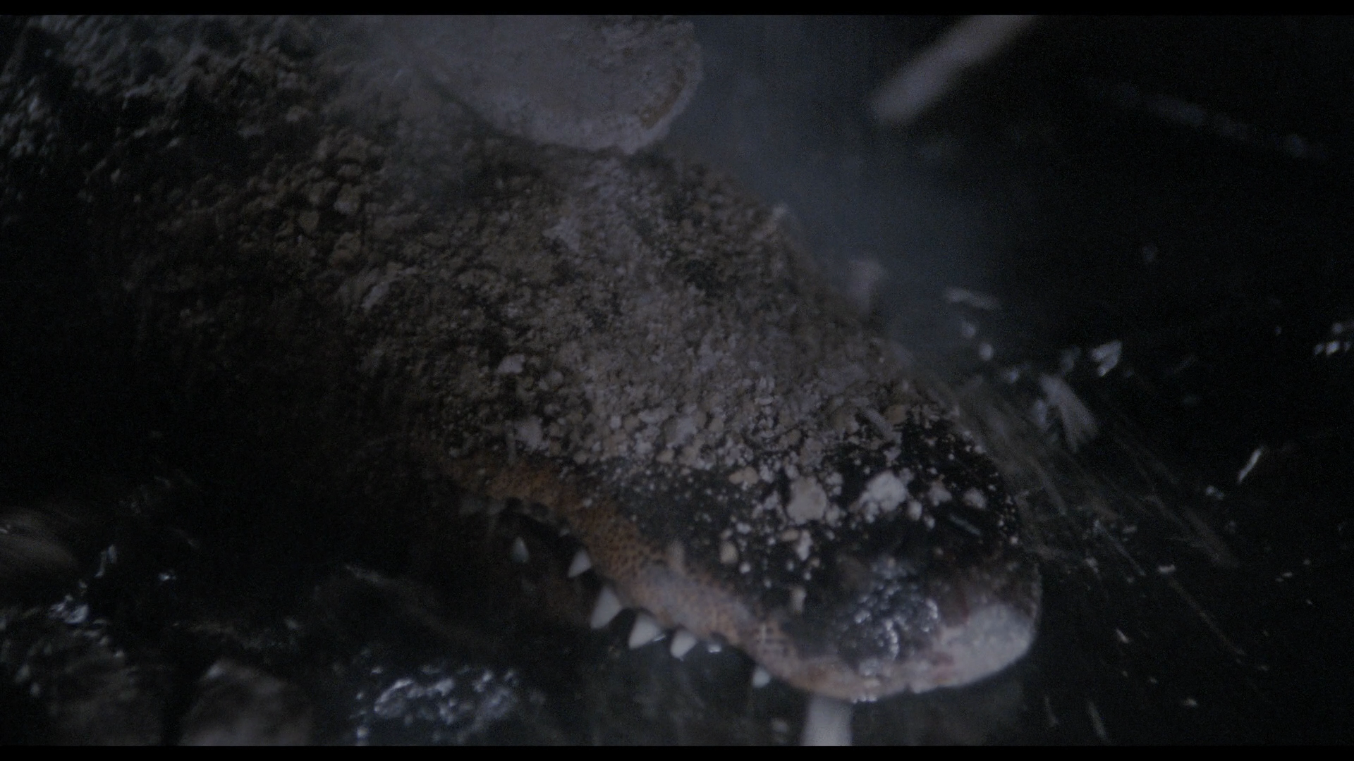 Alligator II: The Mutation cap 7