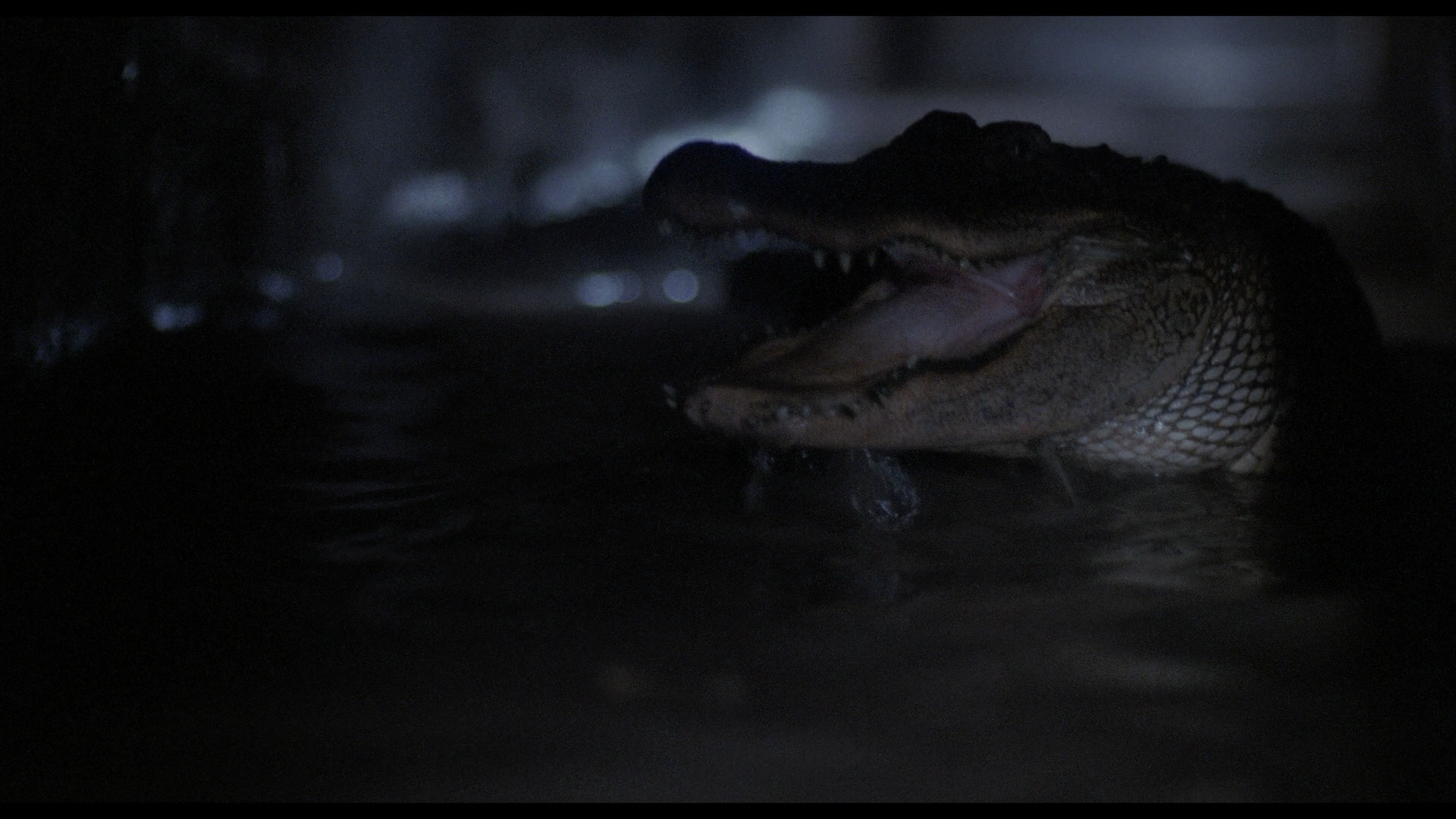 Alligator II: The Mutation cap 9