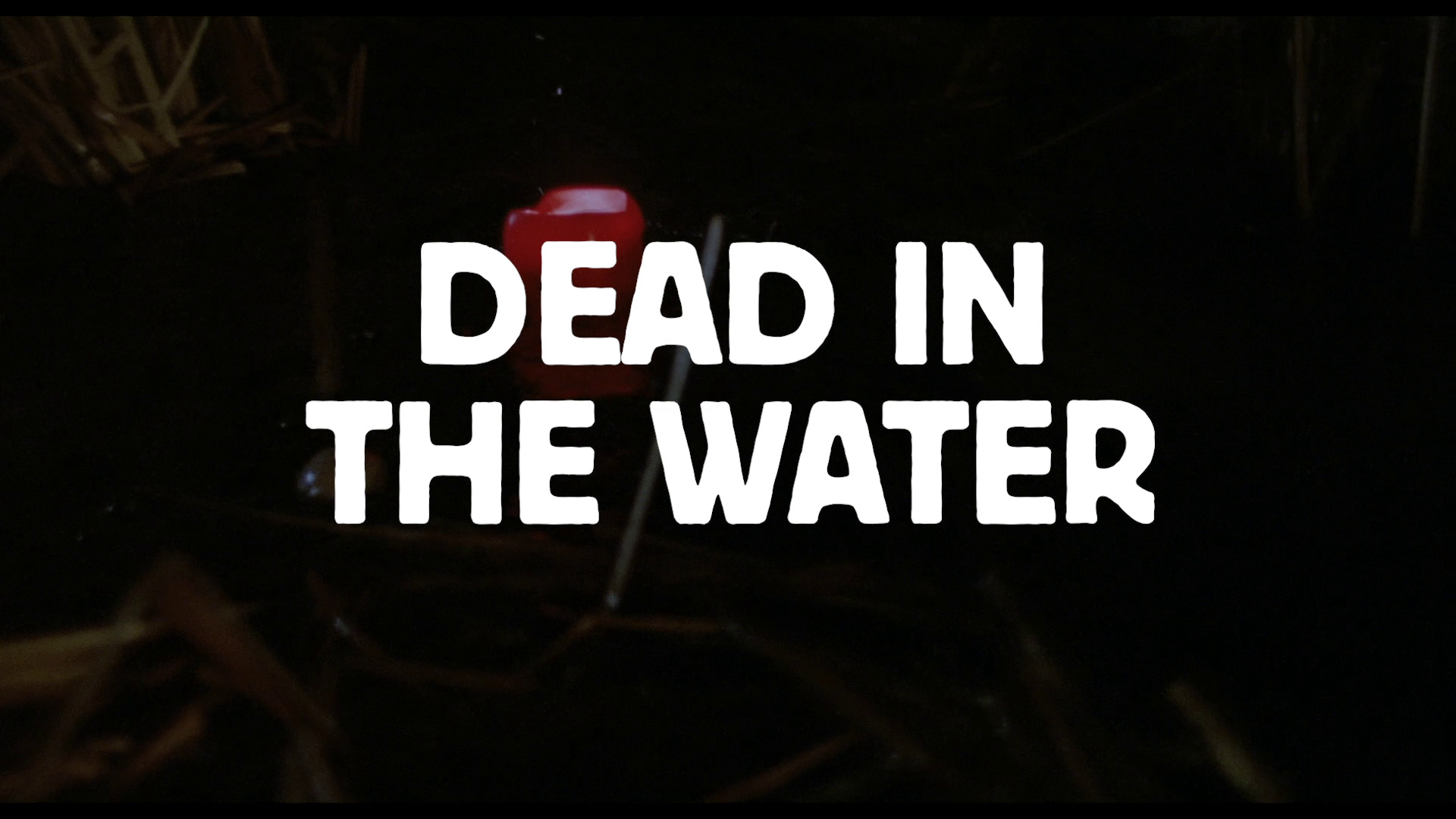 Alligator II John Eggett interview