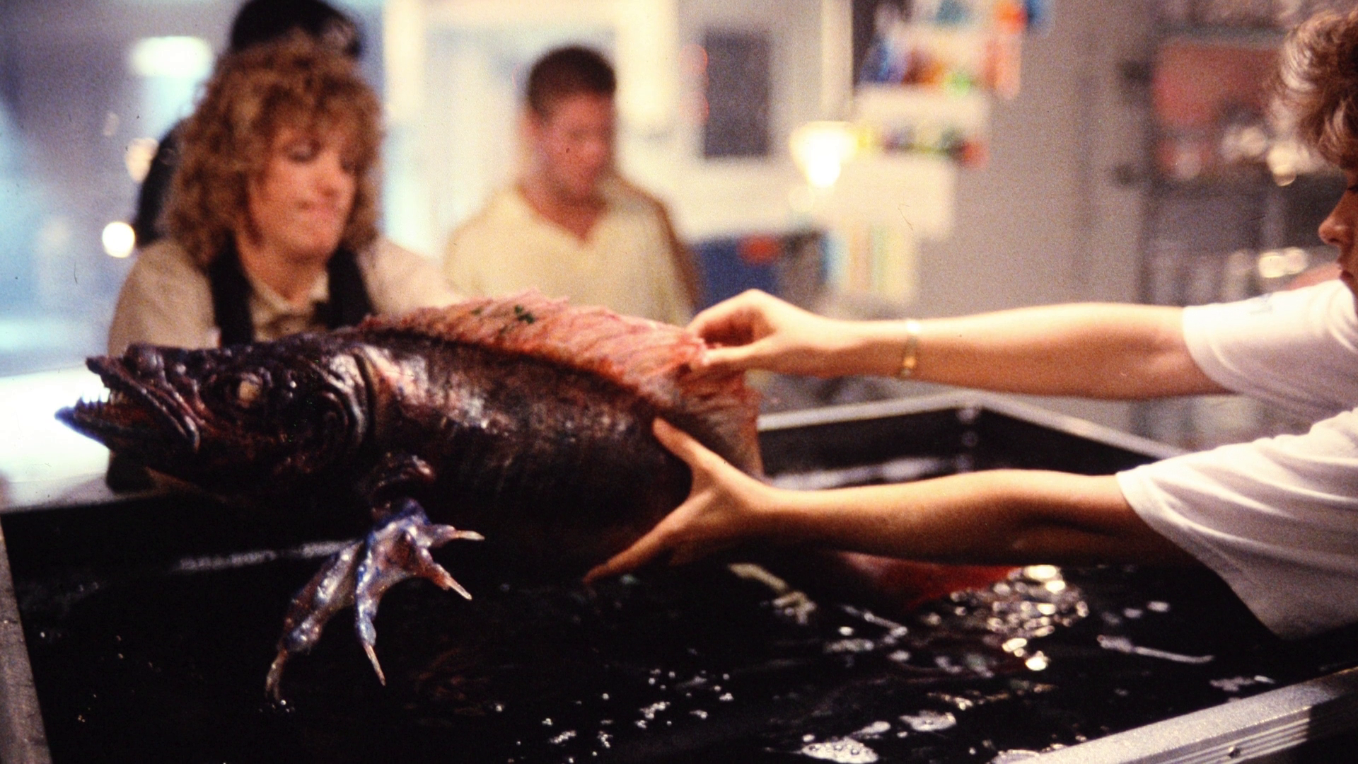 The Return of Swamp Thing behind the scenes gallery