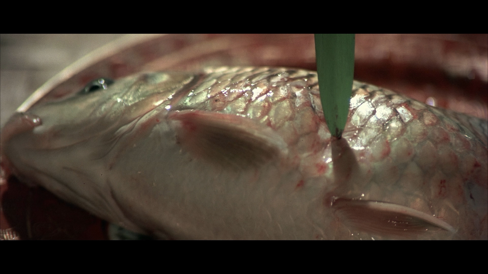 Flying Guillotine Part II unedited fish scene