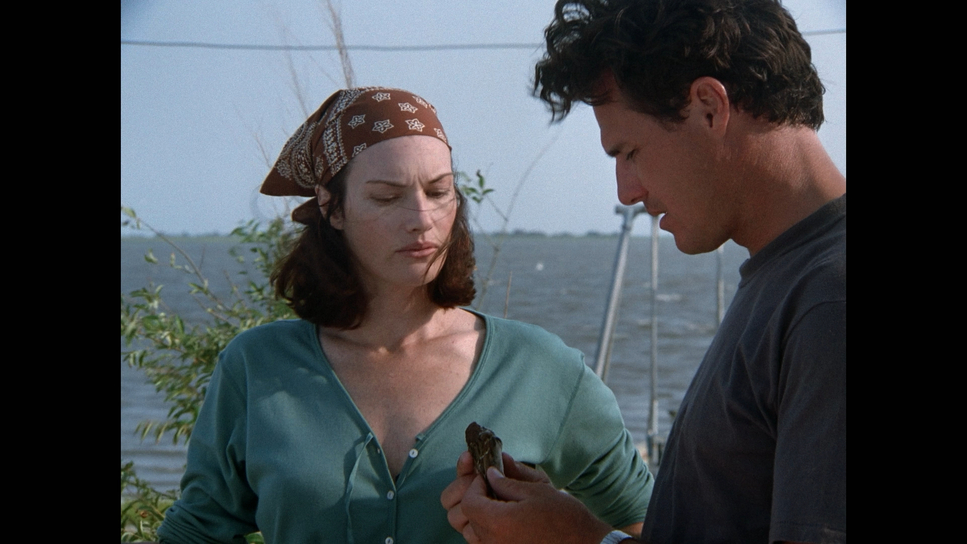 The Birds II: Land's End cap 7