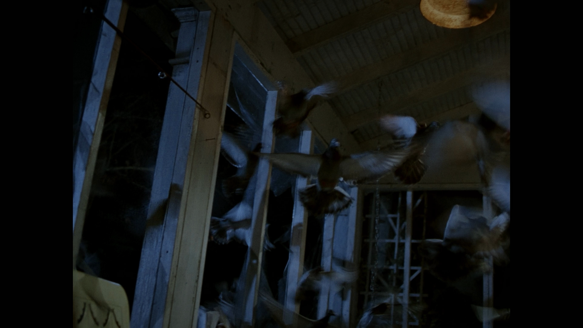 The Birds II: Land's End cap 9