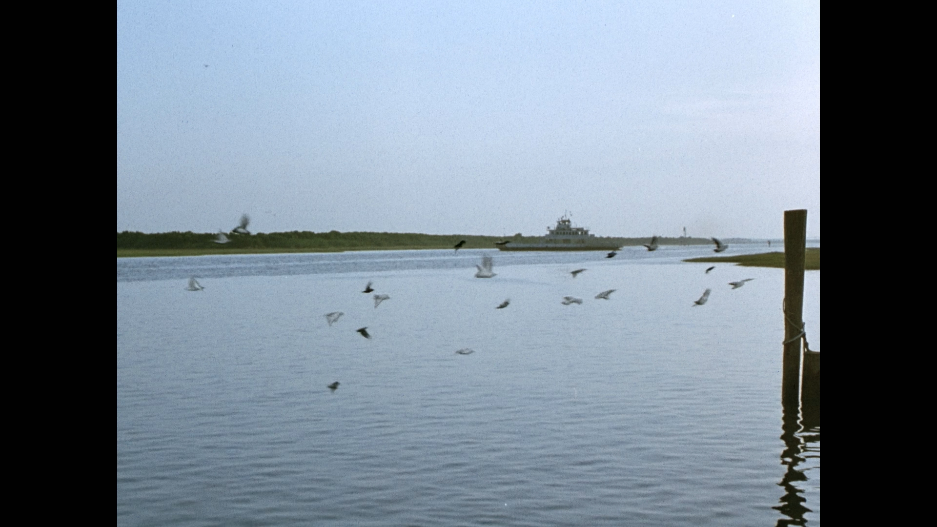 The Birds II: Land's End cap 11