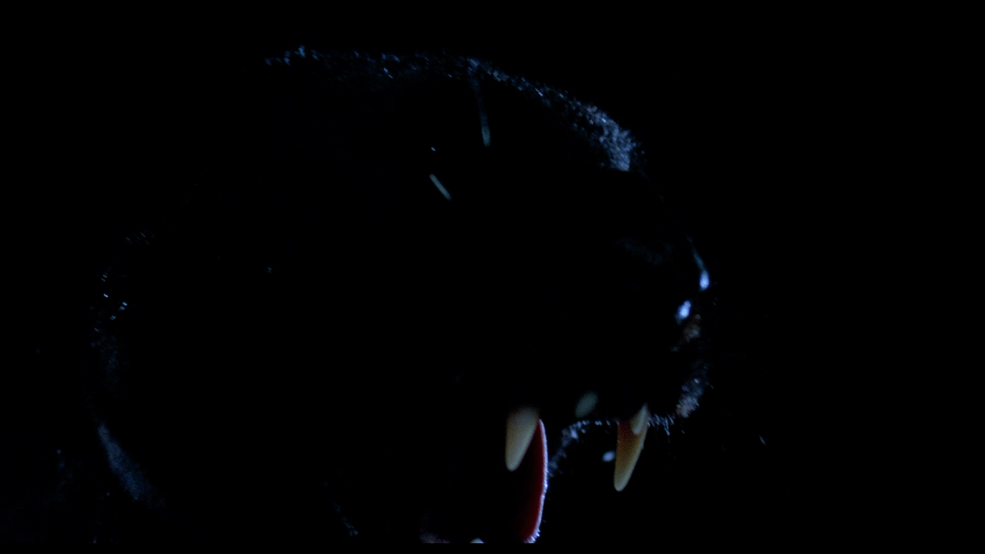 Cat People Blu-ray cap 6