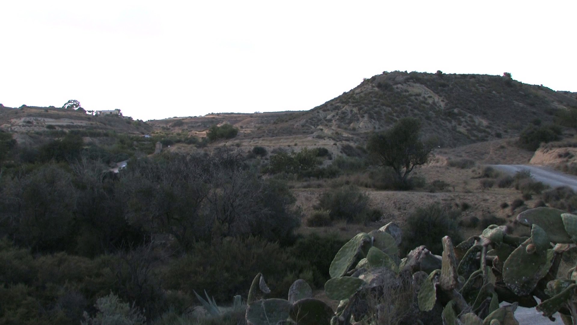 The Sacred Spirit Uranes short