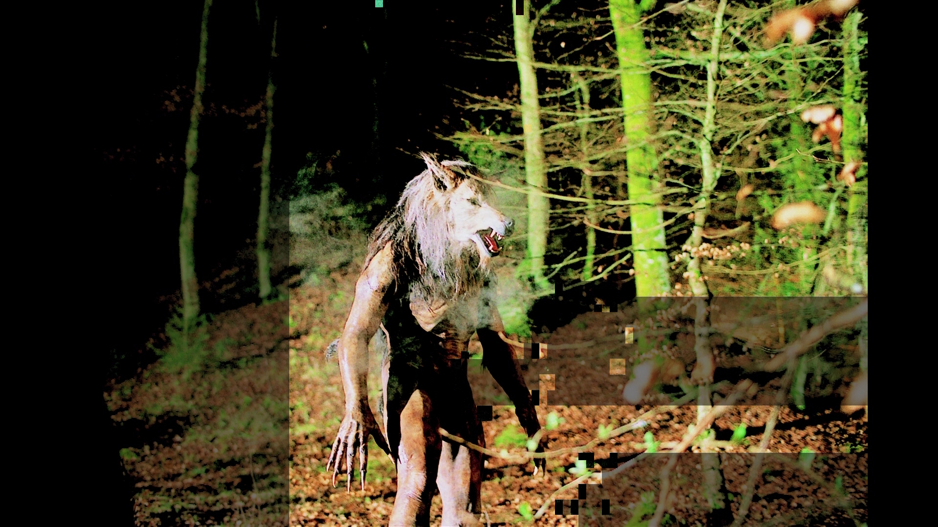 Dog Soldiers 4K photo gallery