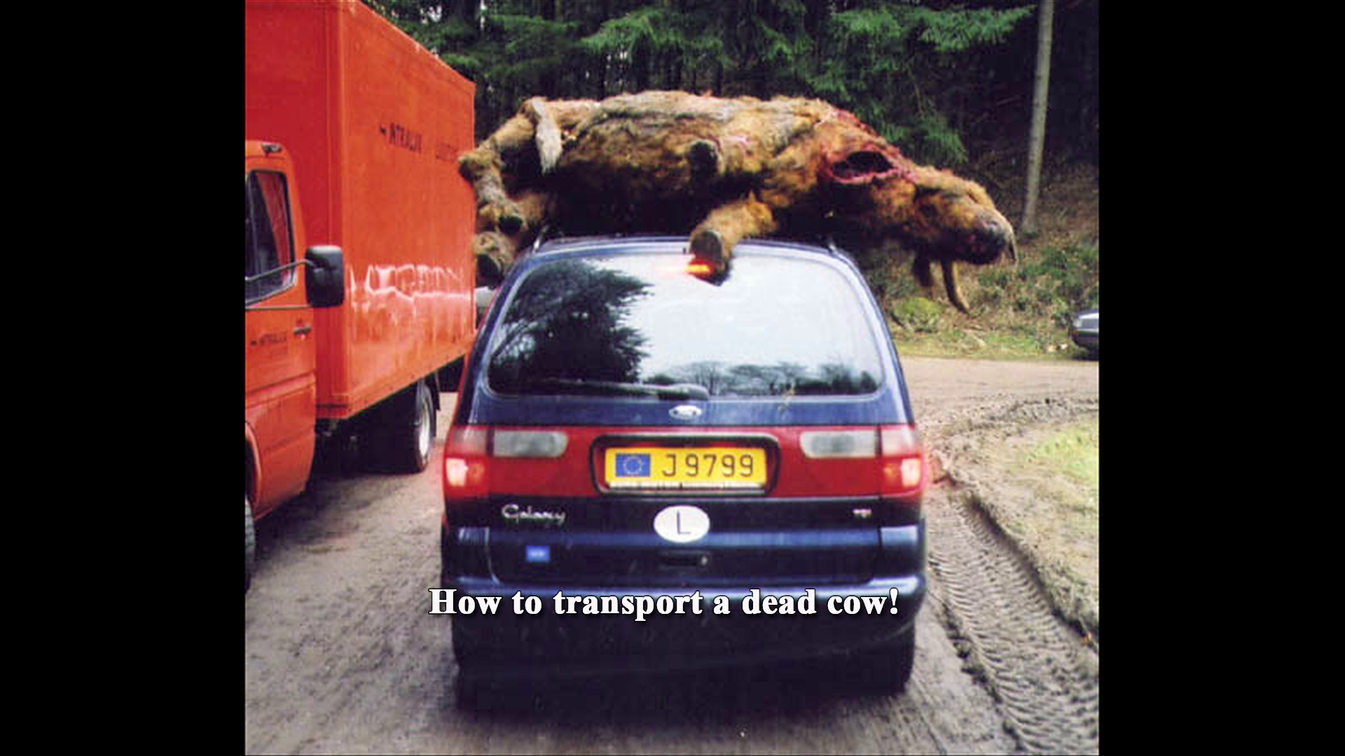 Dog Soldiers 4K behind the scenes photo gallery