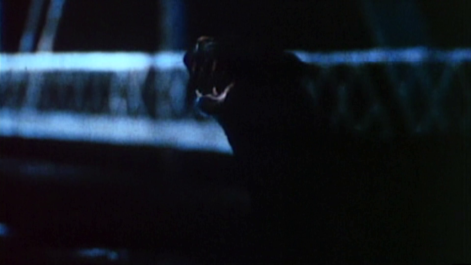 Cat People 4K theatrical trailer