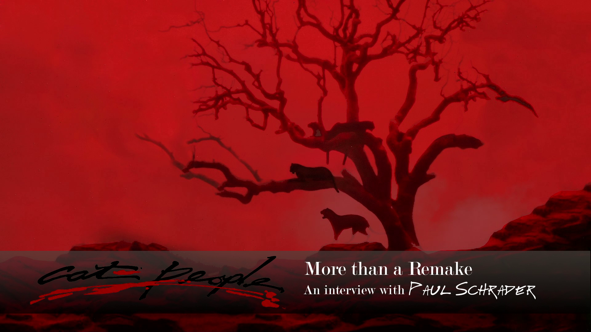 Cat People 4K Paul Schrader interview