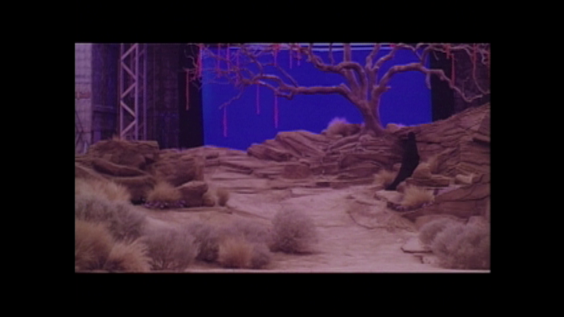 Cat People 4K matte paintings