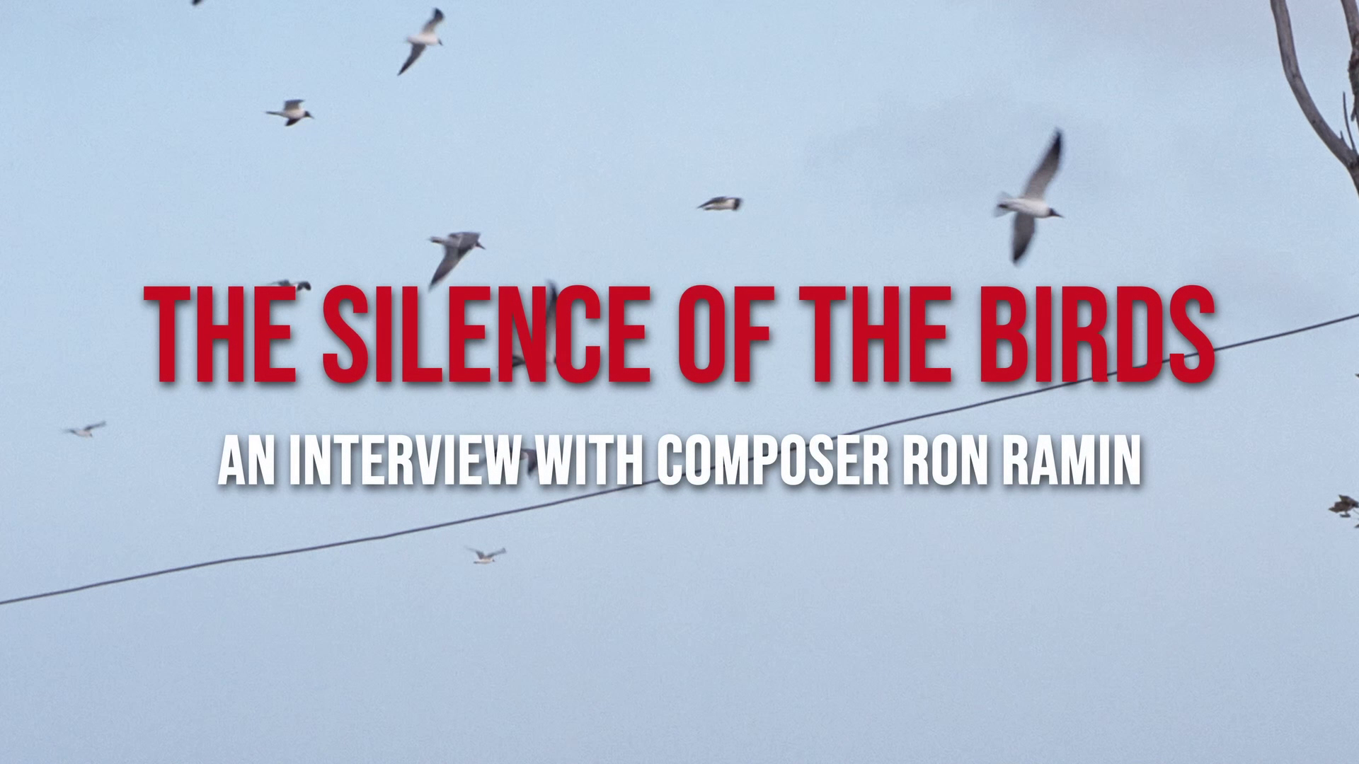 The Birds II: Land's End Ron Ramin interview