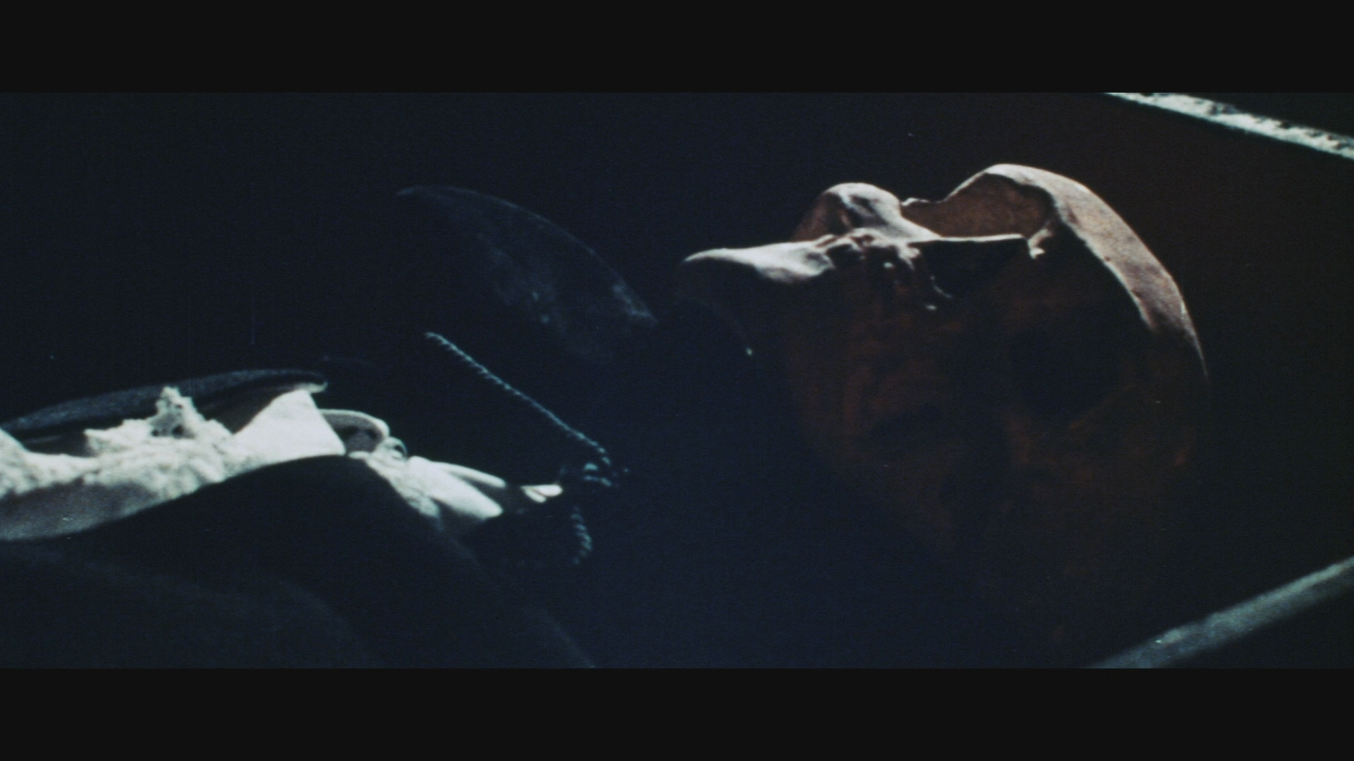 The Horrible Sexy Vampire cap 12