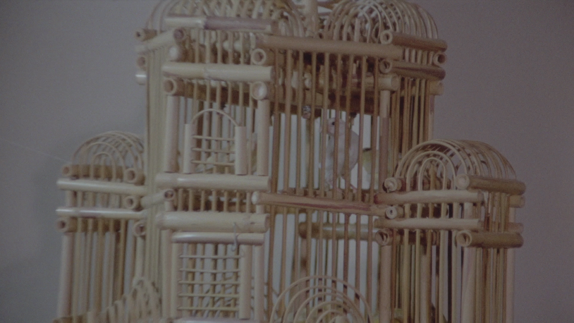 The Other Side of the Mirror cap 3