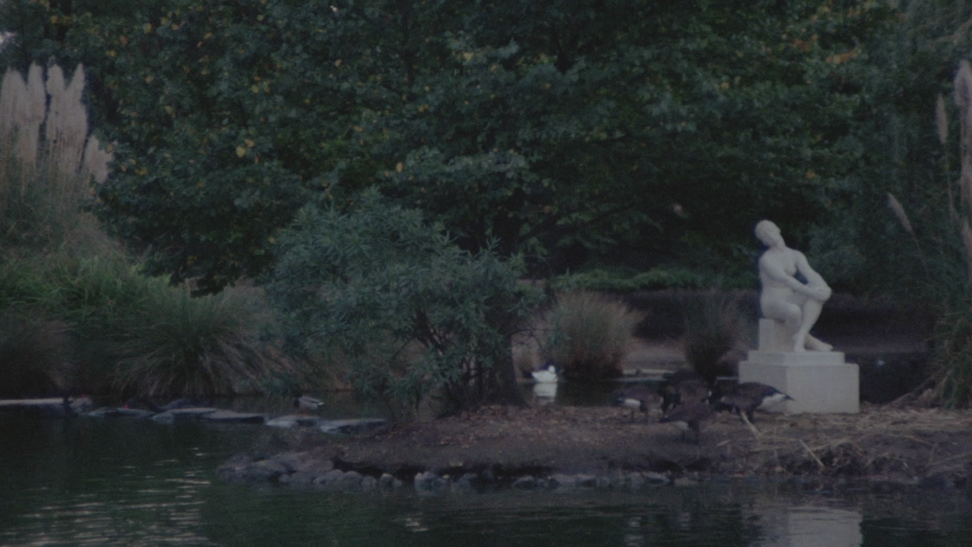 The Other Side of the Mirror cap 6