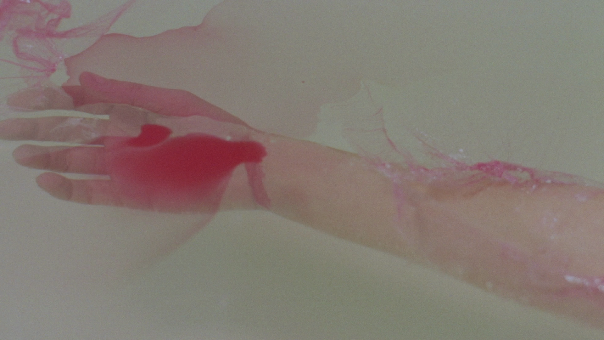 The Other Side of the Mirror cap 9