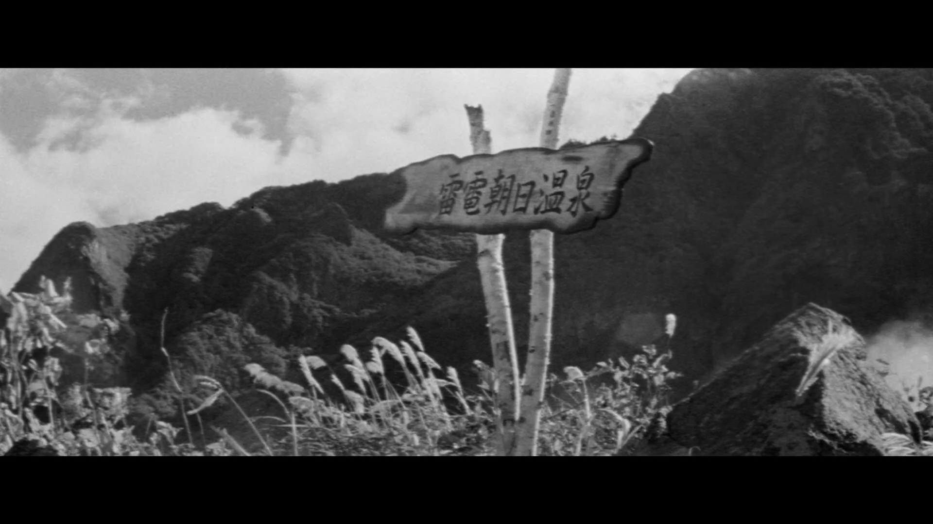 A Fugitive from the Past Chaos and Order essay