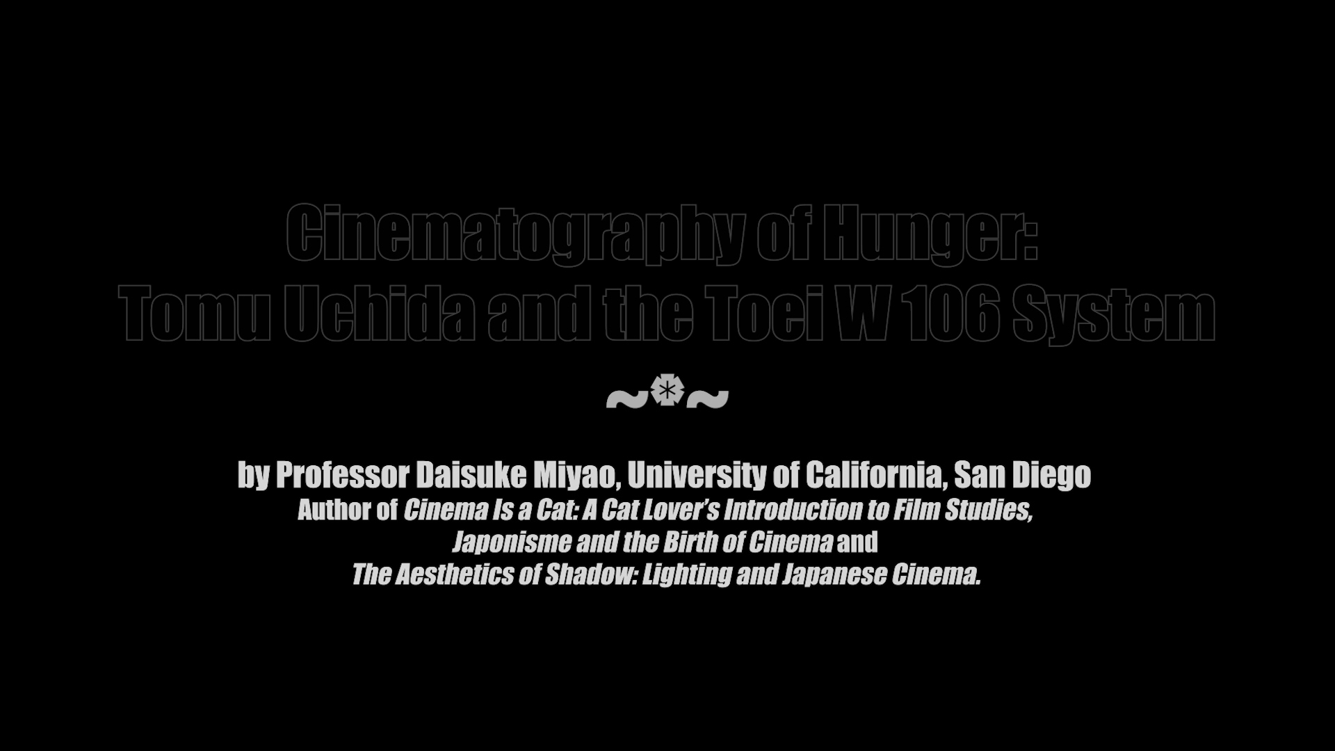 A Fugitive from the Past Cinematography of Hunger essay