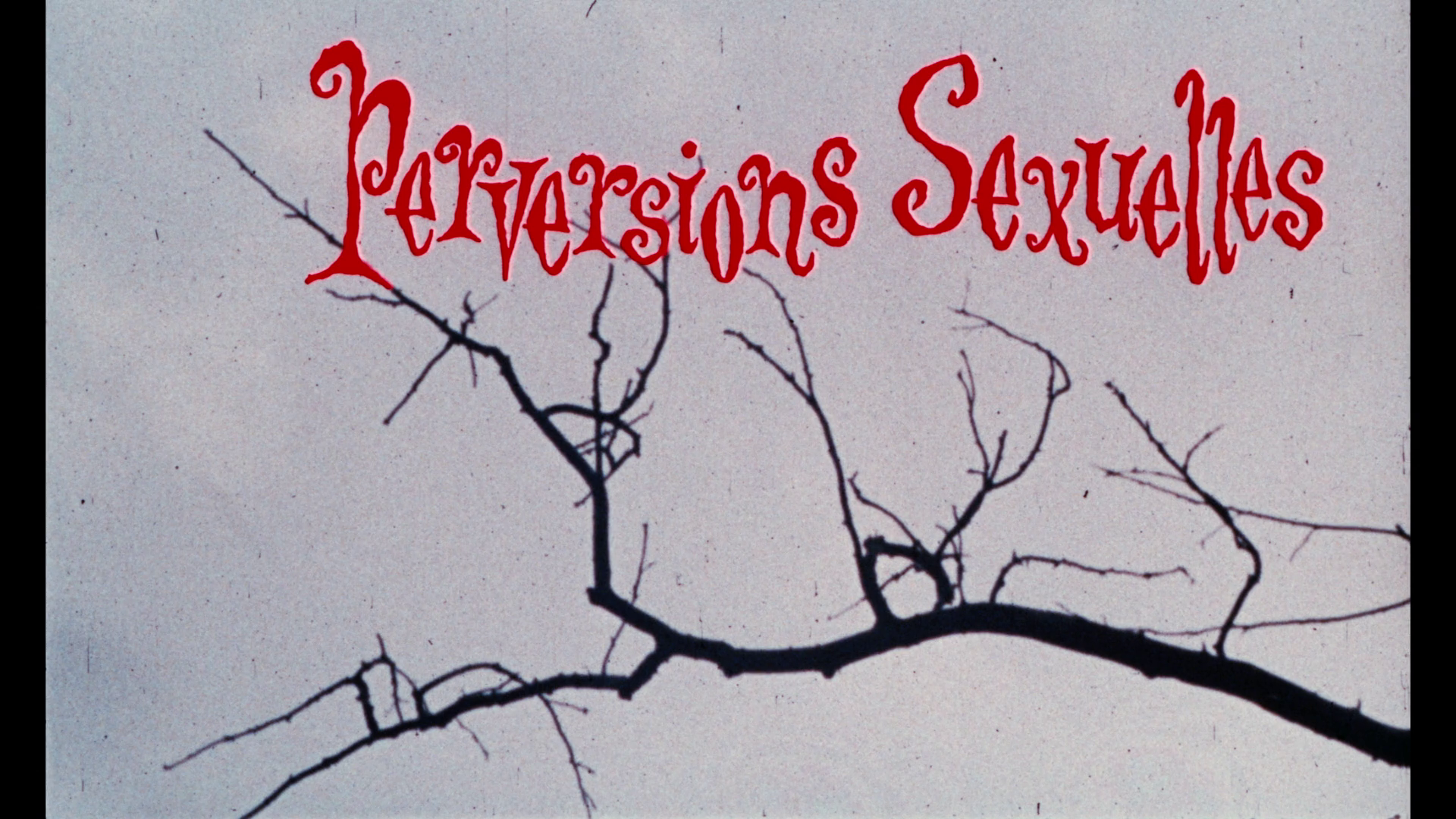 Love Brides of the Blood Mummy Perversions Sexuelles trailer