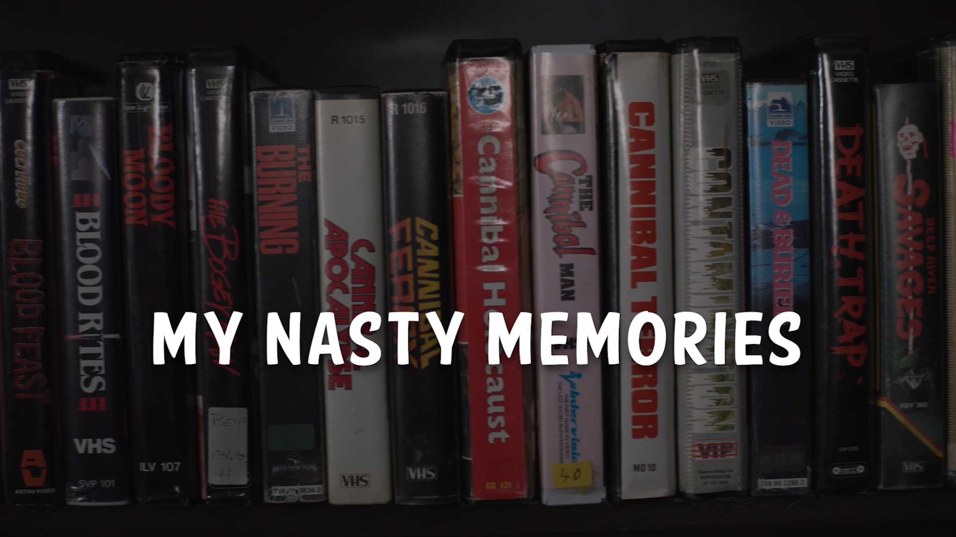 My Nasty Memories by David Gregory