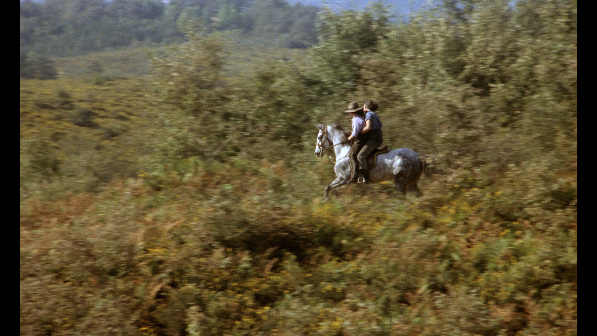 The Last Romantic Lover cap 10