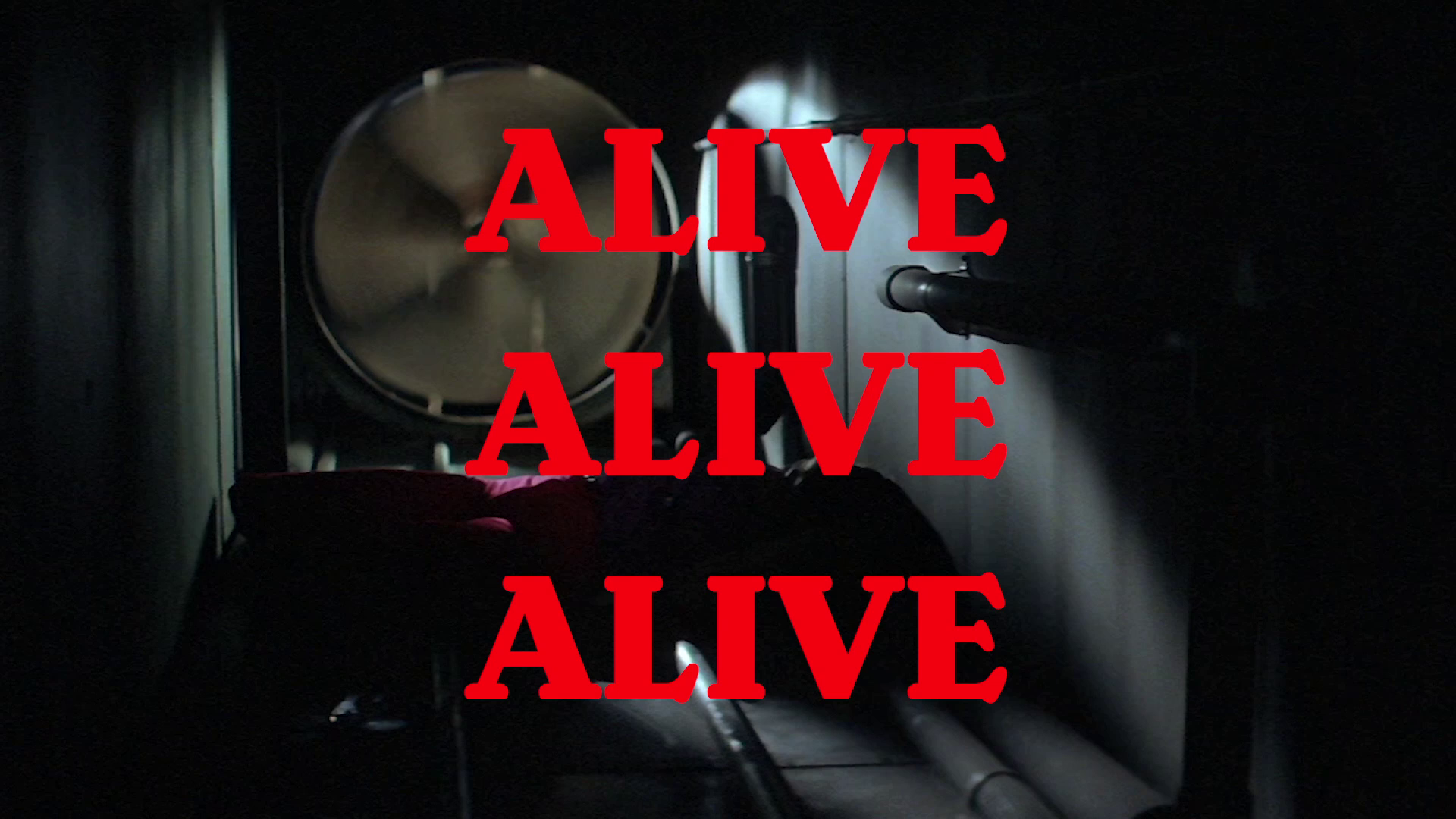 The Funhouse 4K Craig Reardon interview