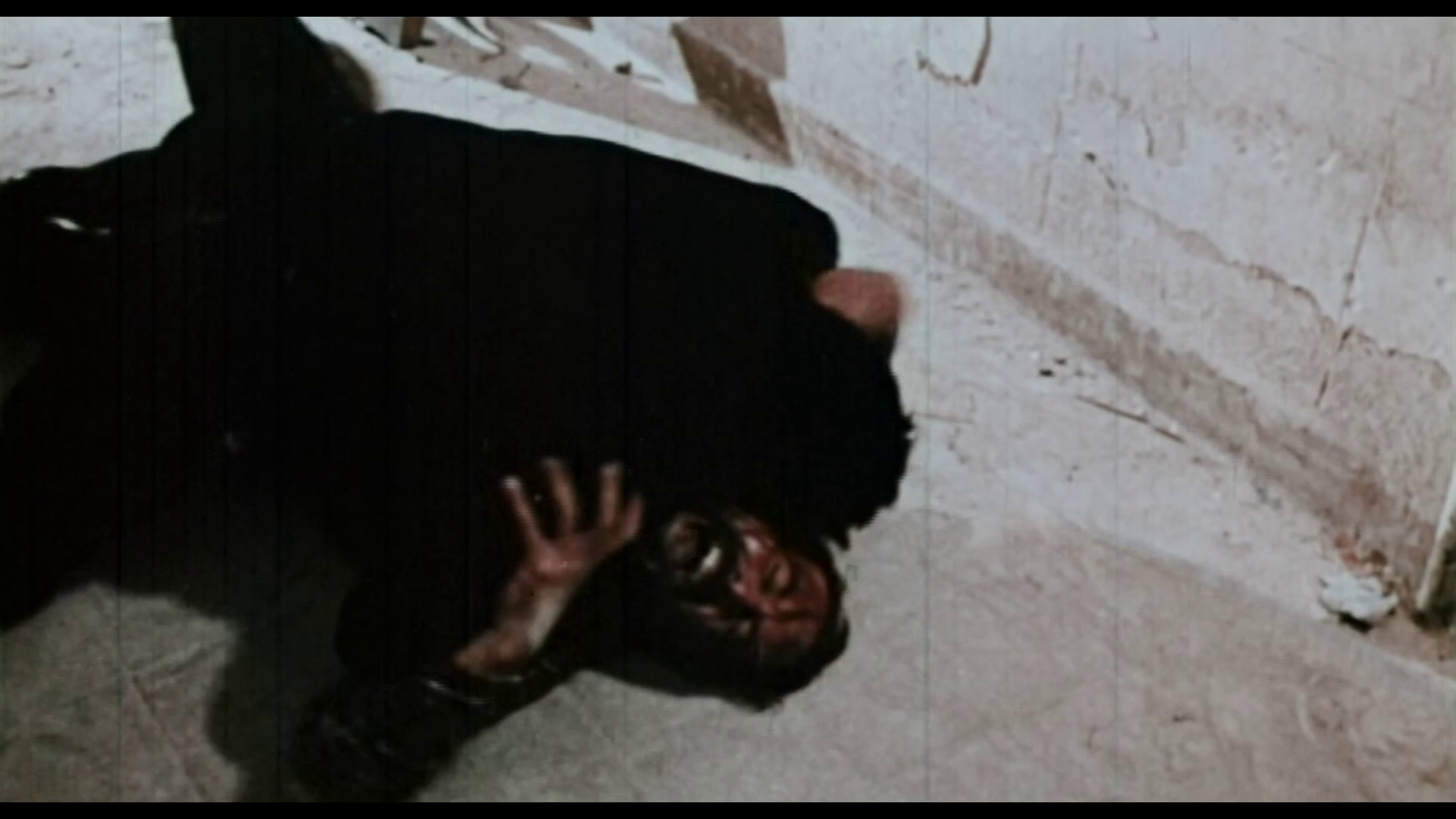 The Werewolf vs. Vampire Woman 4K theatrical trailer