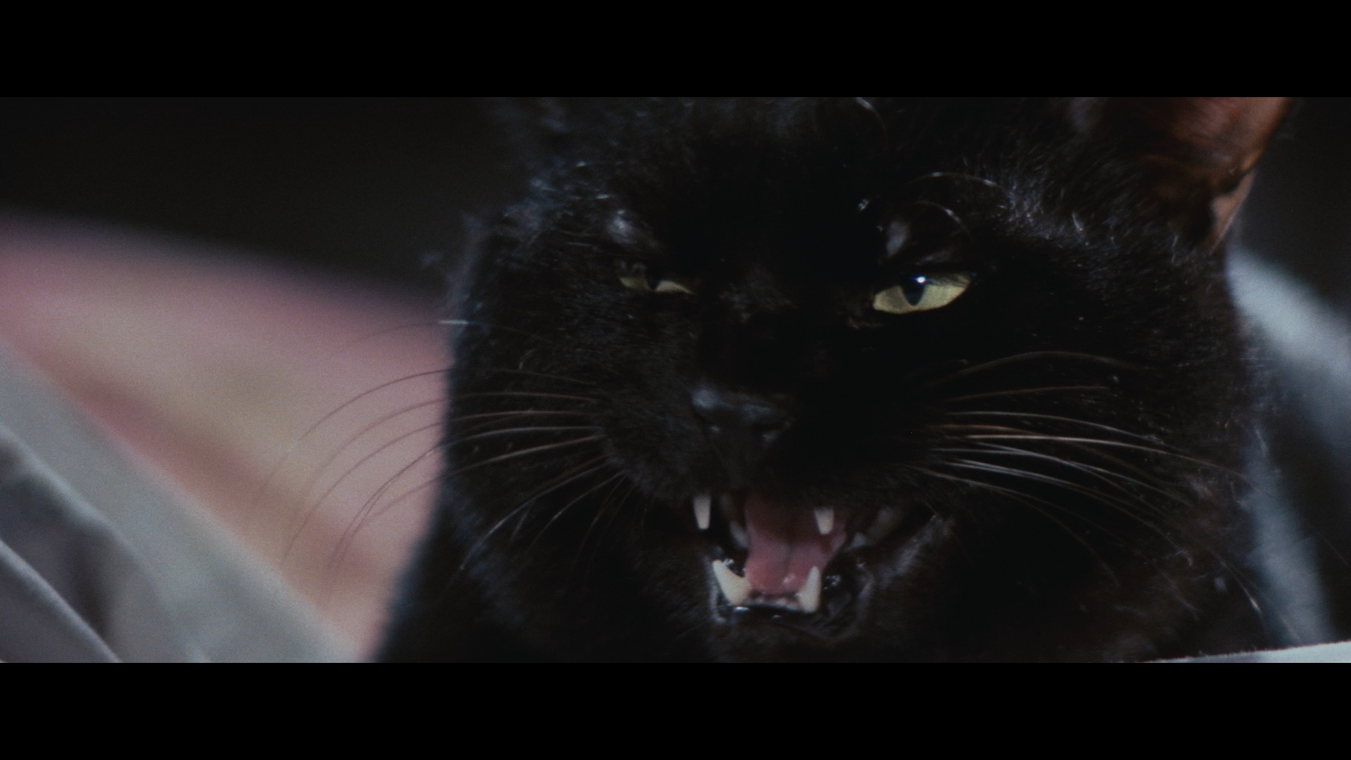 A Haunted Turkish Bathhouse cap 8