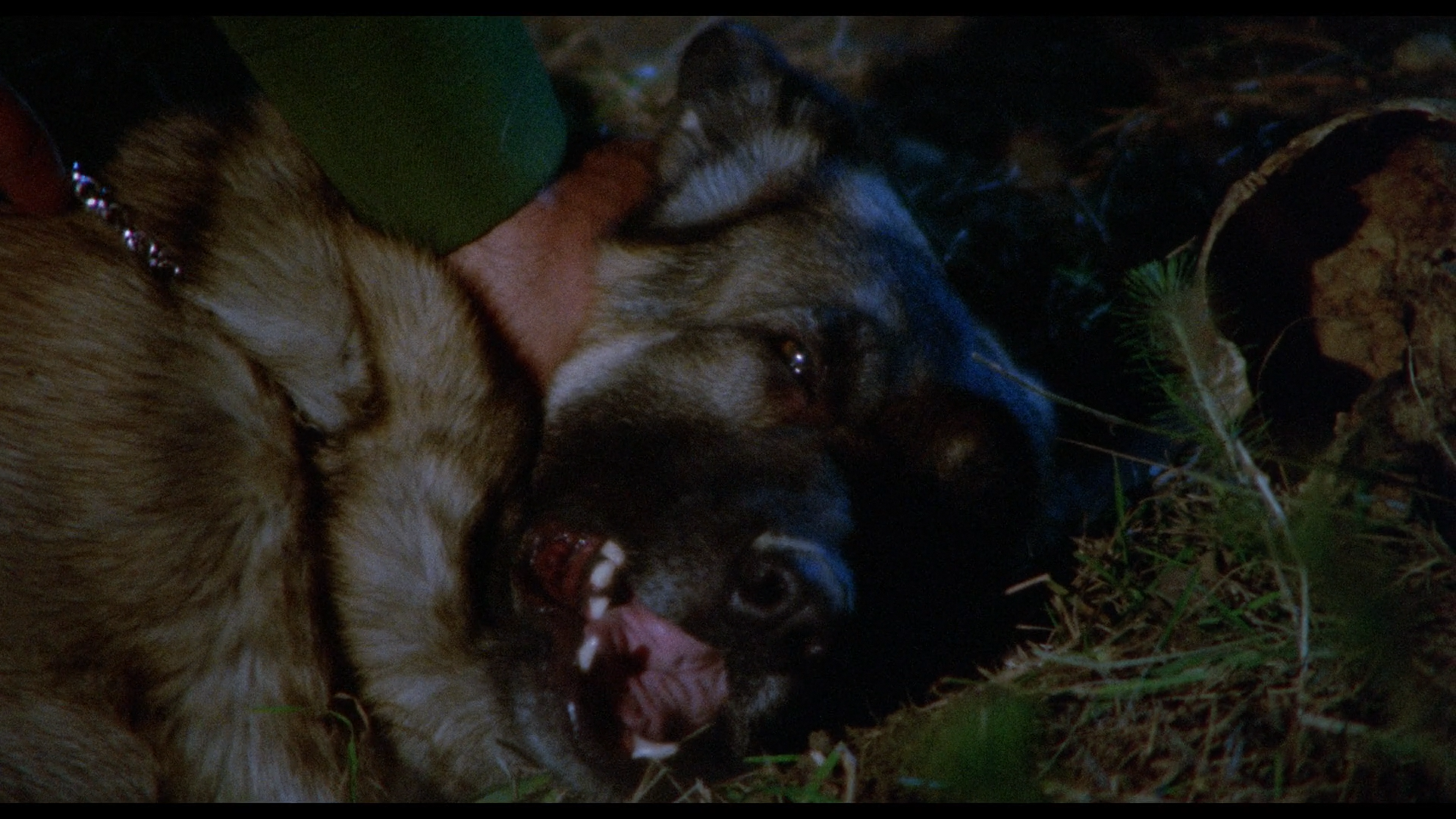 In the Folds of the Flesh cap 2