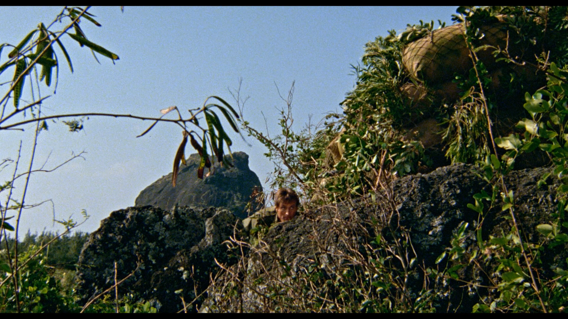 Attack Force Z cap 2