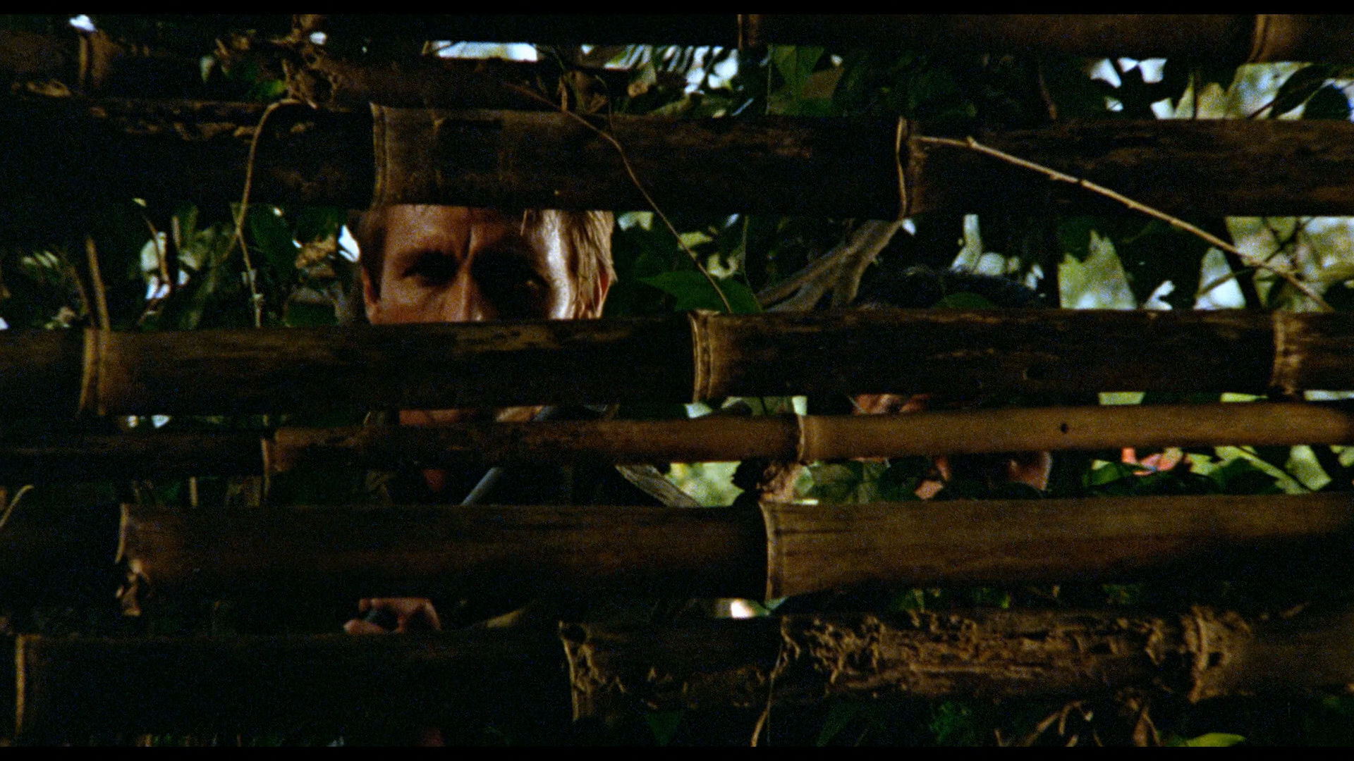 Attack Force Z cap 5