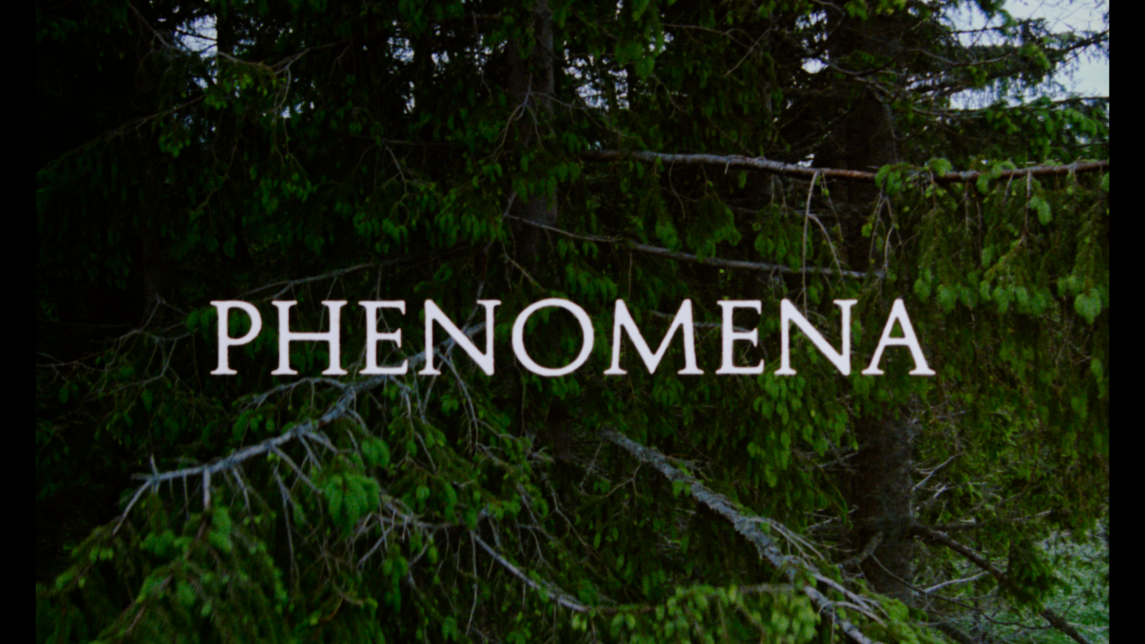 Phenomena 4K Italian version cap 1