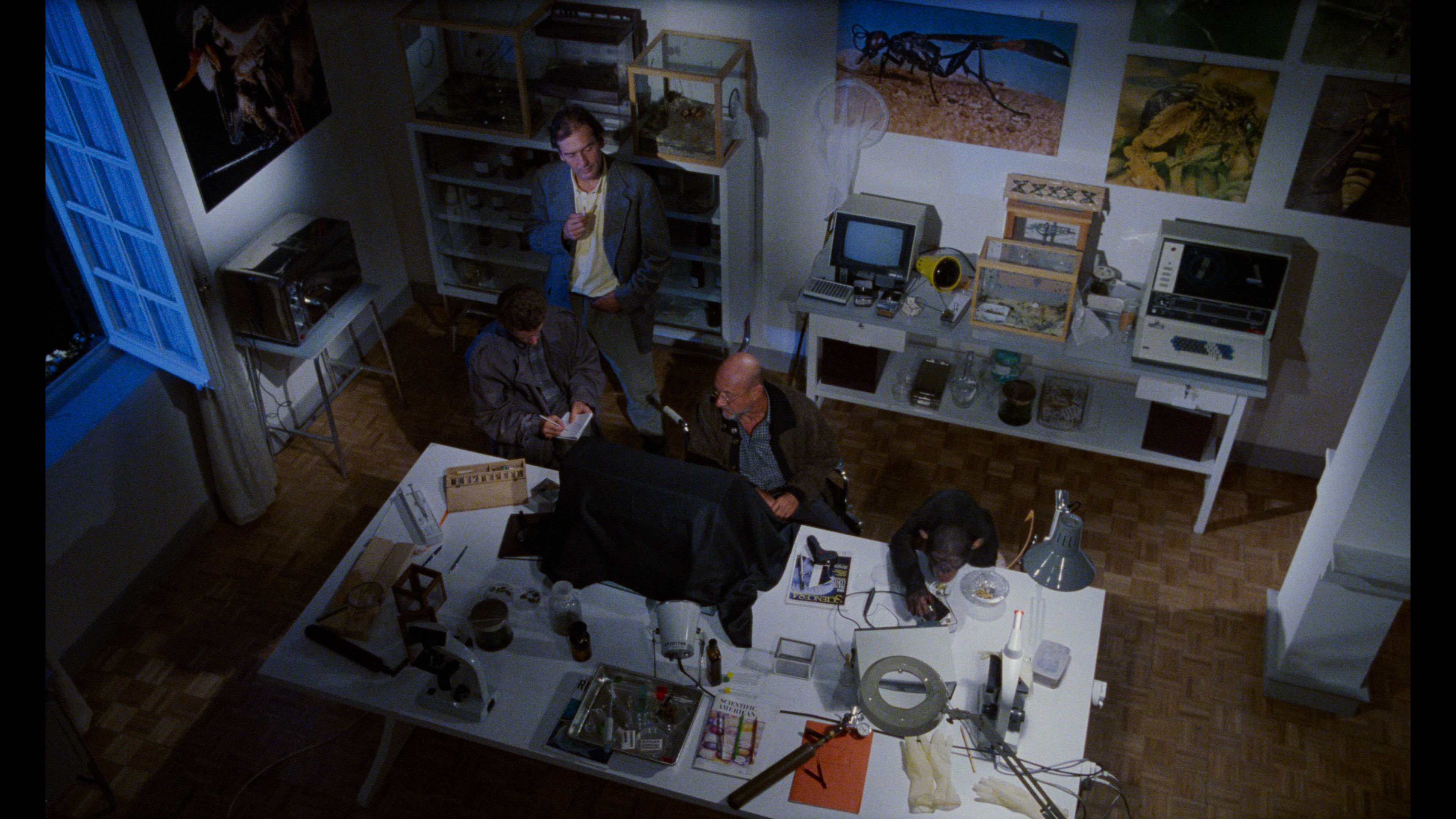 Phenomena 4K Italian version cap 2