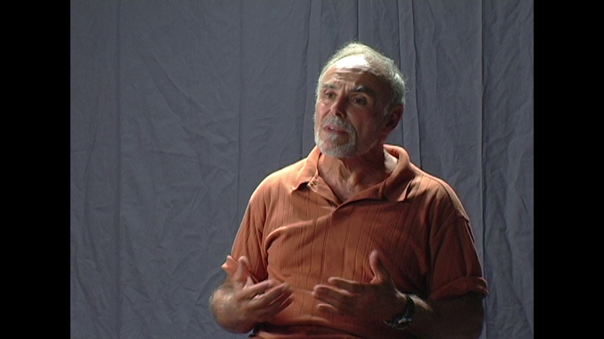 The Cynic, the Rat, and the Fist John Saxon interview