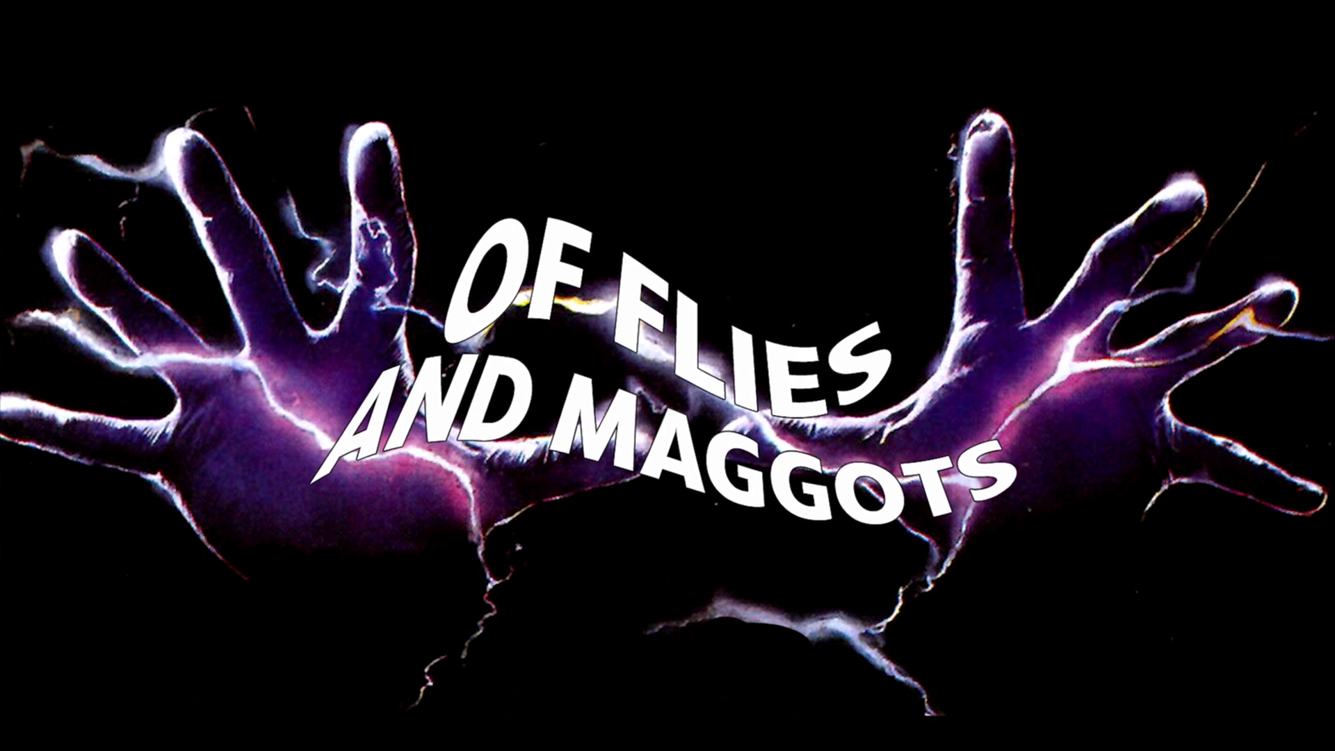 Phenomena 4K Of Flies and Maggots feature documentary