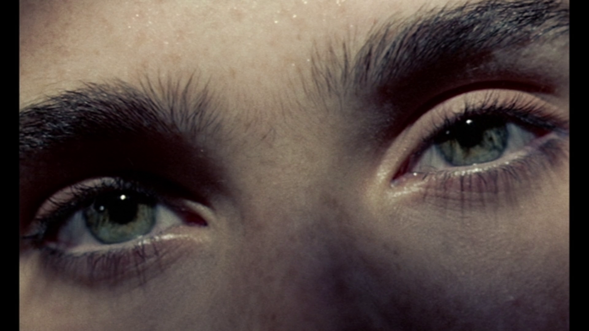 Phenomena 4K trailers