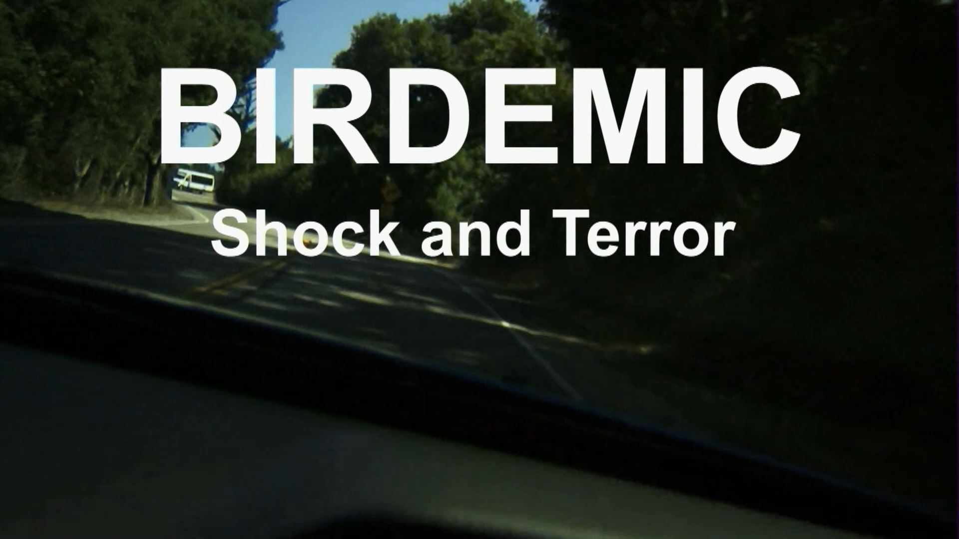 Birdemic: Shock and Terror Blu-ray screencap 1