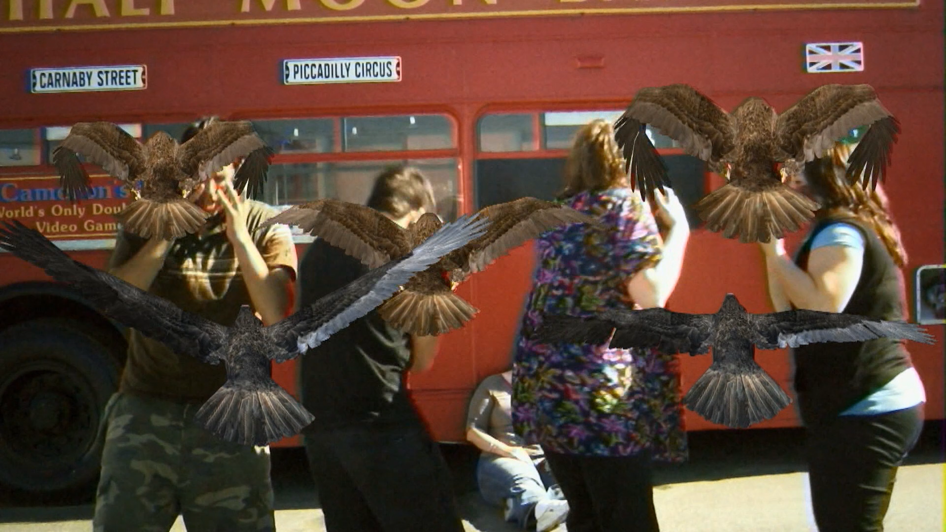 Birdemic: Shock and Terror Blu-ray screencap 8