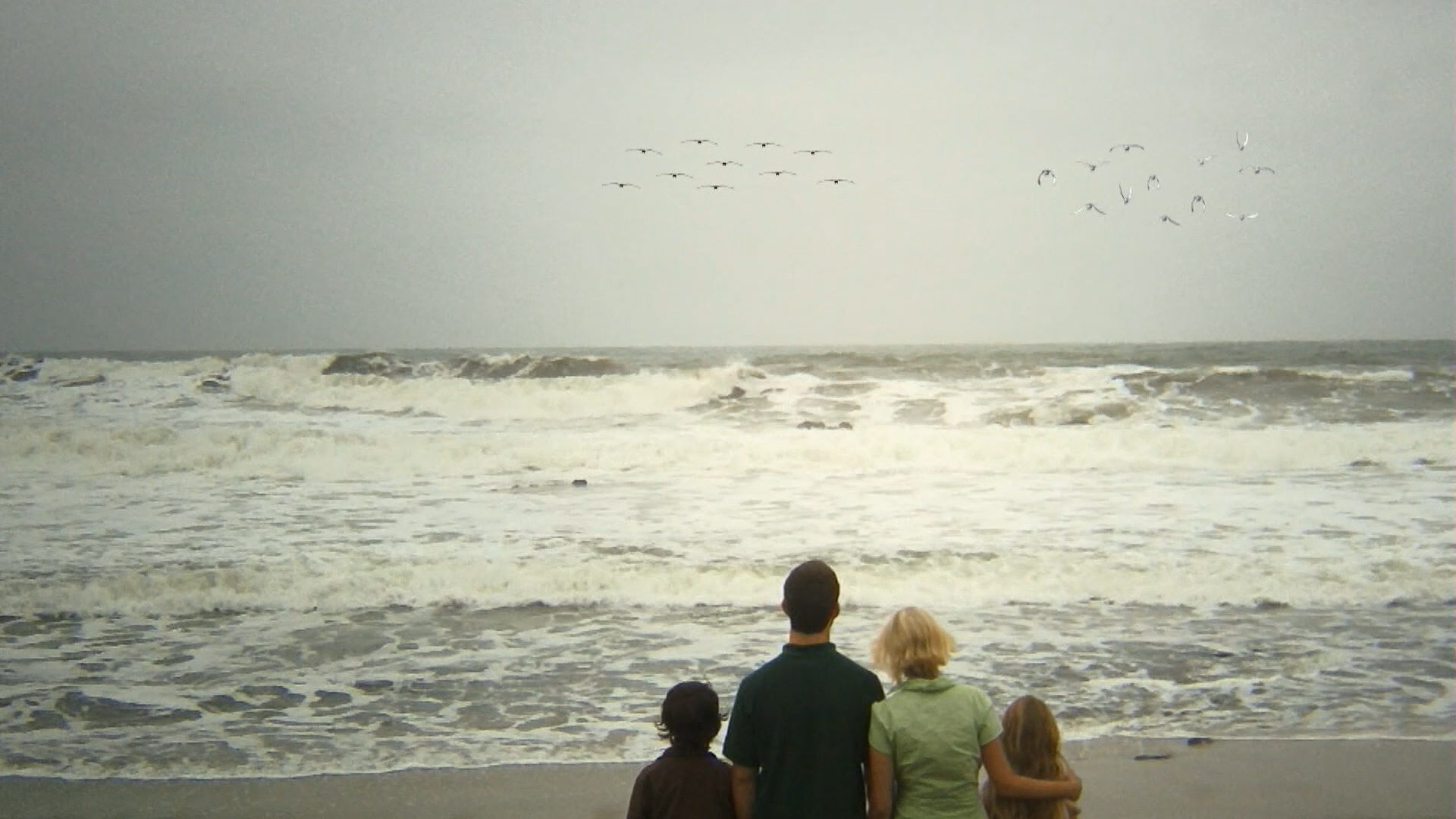 Birdemic: Shock and Terror Blu-ray screencap 12