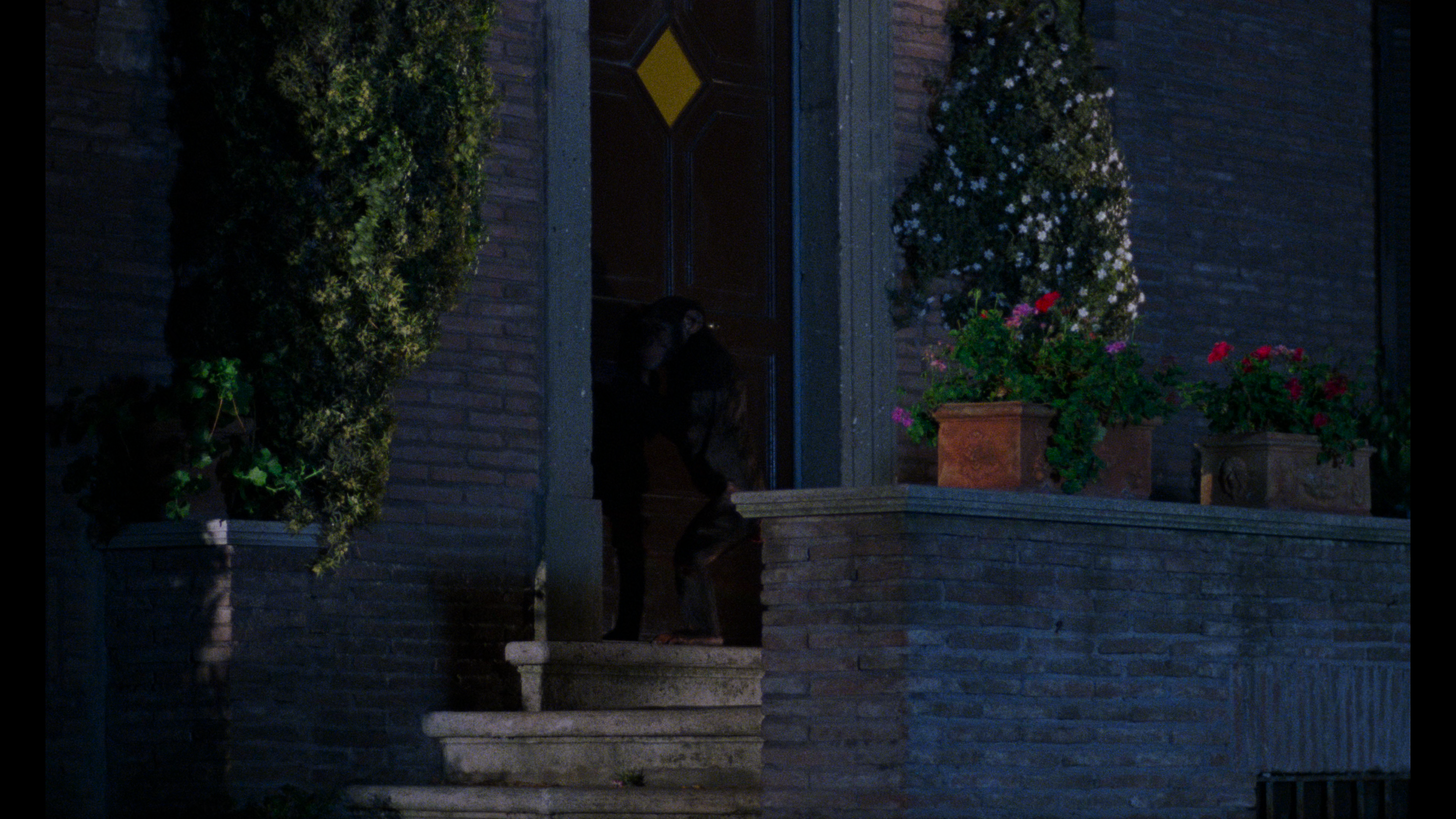 Phenomena 4K international cut cap 2